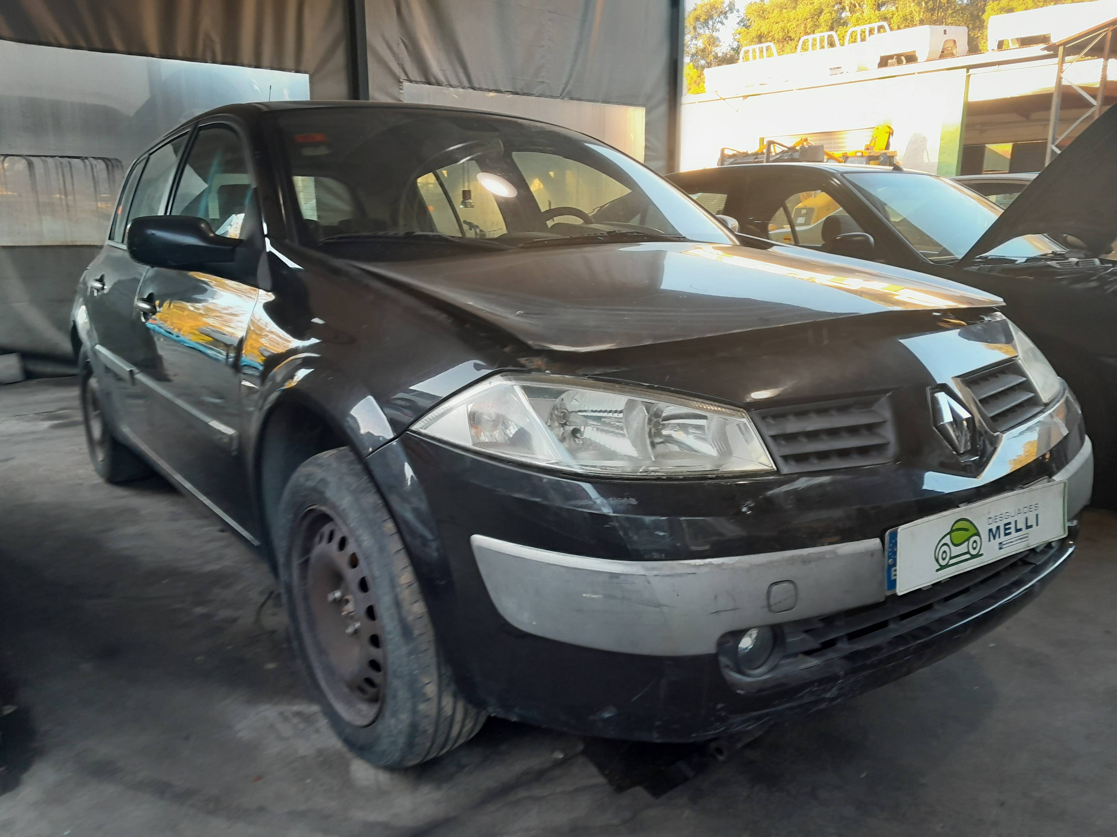 RENAULT Megane 2 generation (2002-2012) Стеклоподъемник задней левой двери 8201010924 22560117