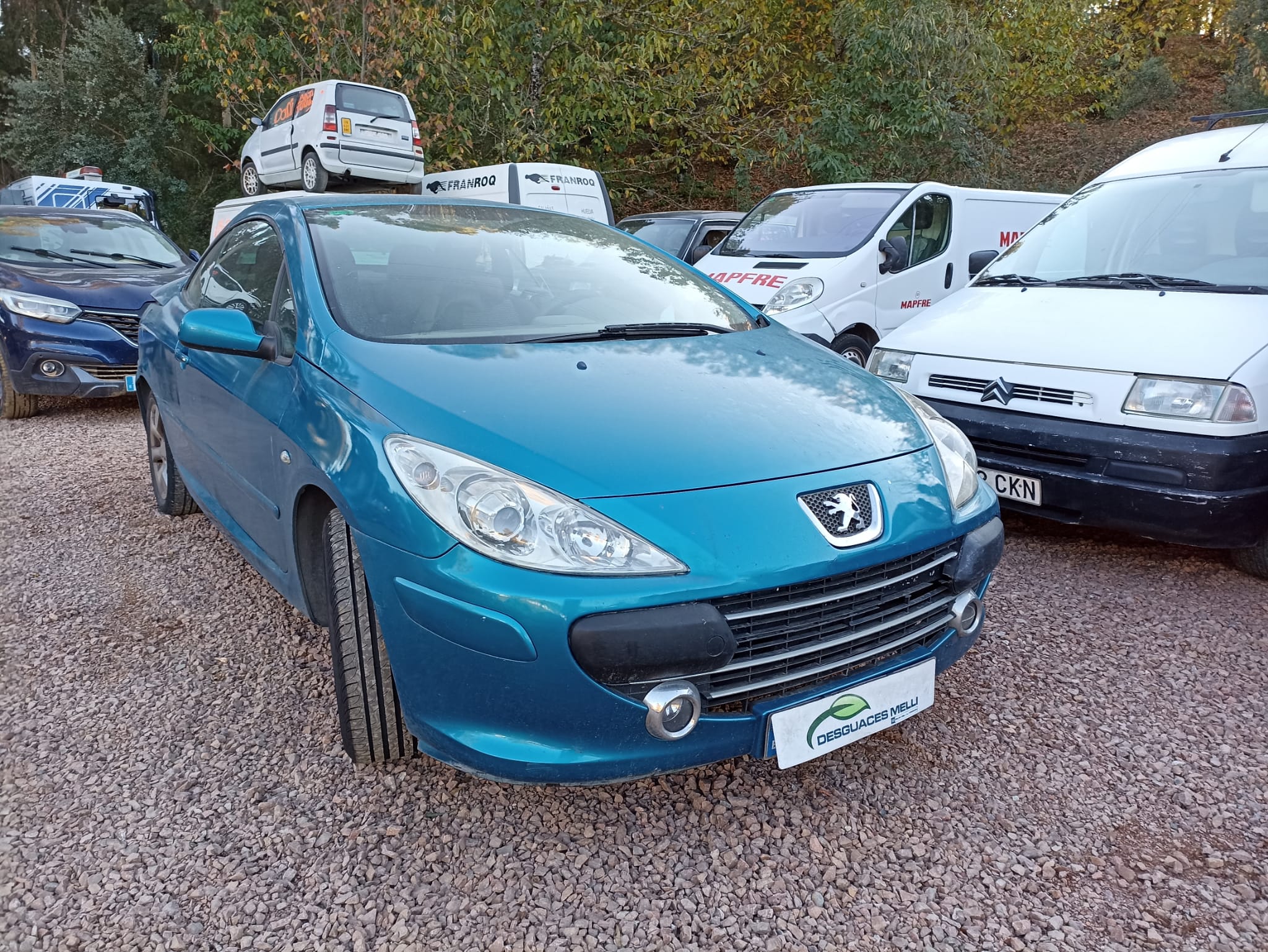 PEUGEOT 307 1 generation (2001-2008) Вентилятор диффузора 9650116580 18760531