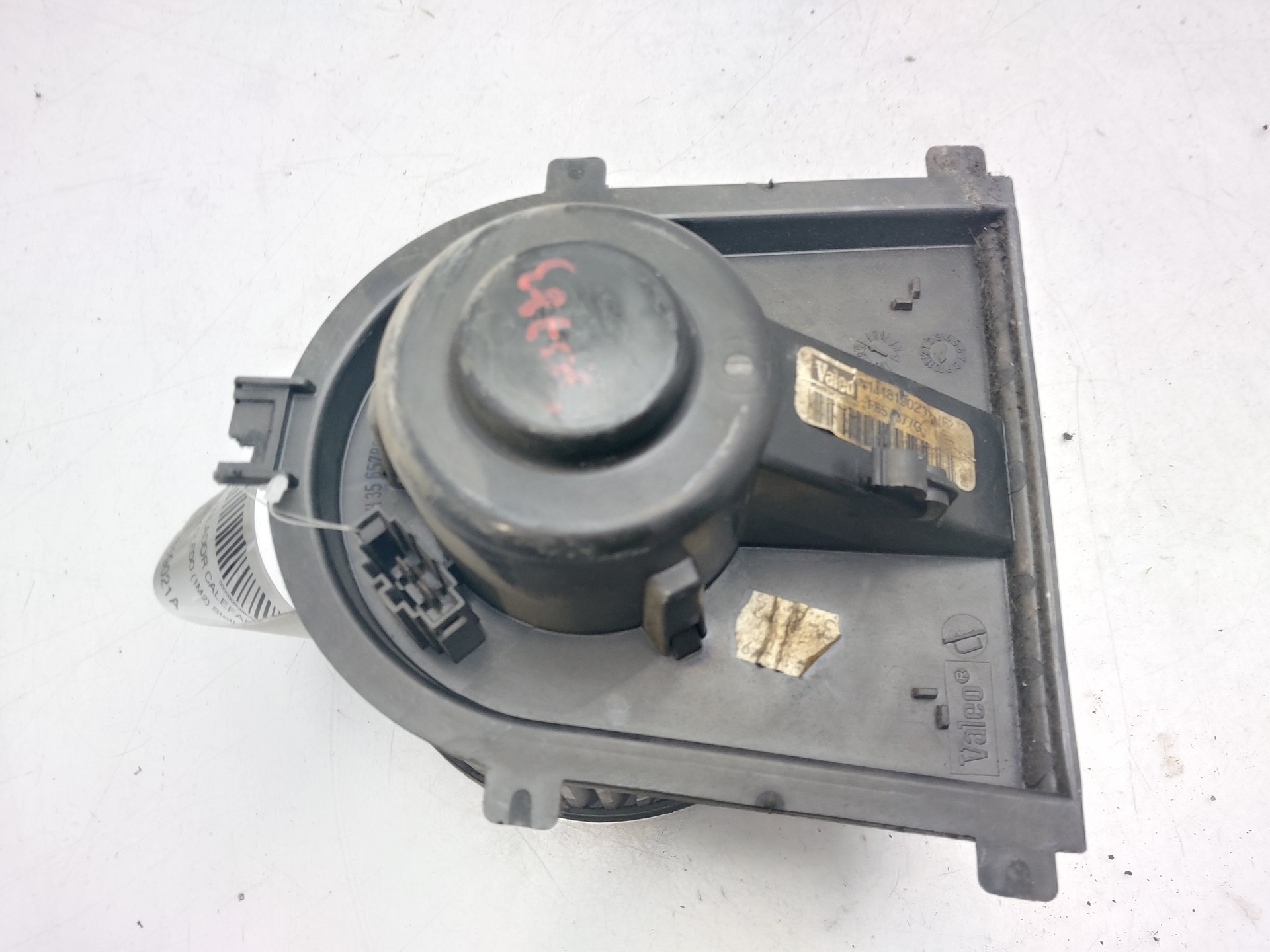 NISSAN Toledo 2 generation (1999-2006) Motor încălzitor interior 1J1819021A 22588272