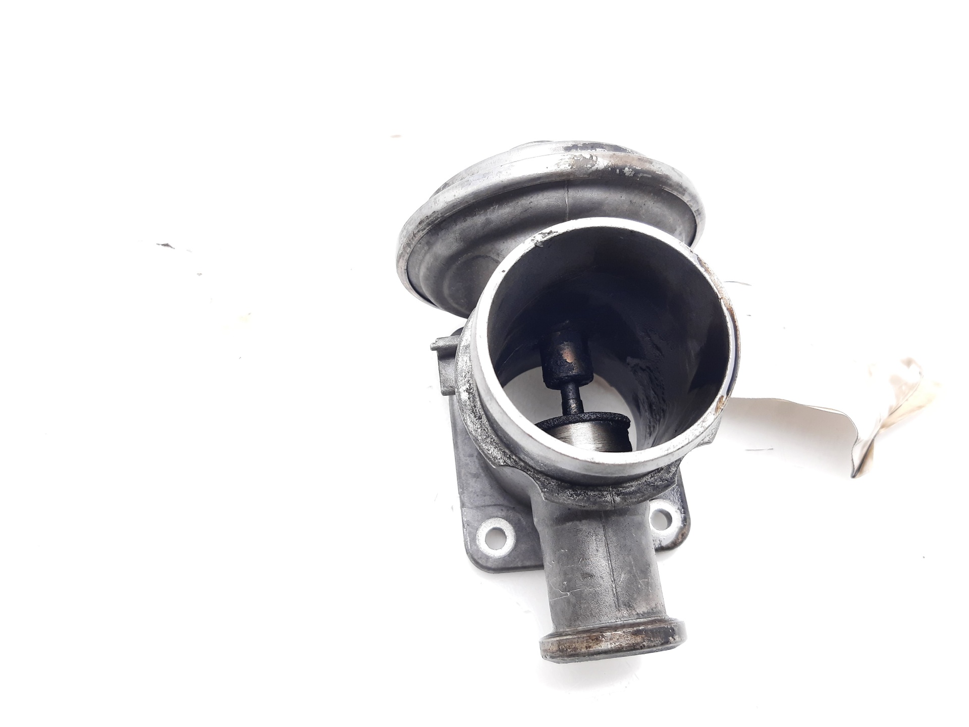 ALFA ROMEO X5 E53 (1999-2006) EGR Valve 778545204 22738753