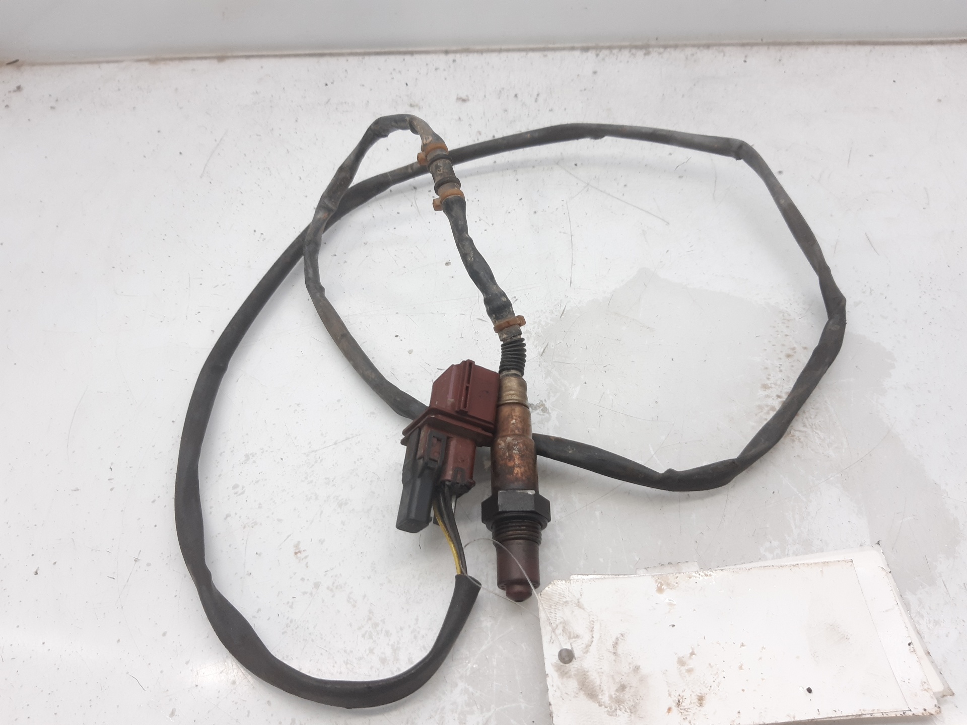 PORSCHE Cayenne 955 (2002-2010) Lambda Oxygen Sensor 94860612902 18668556