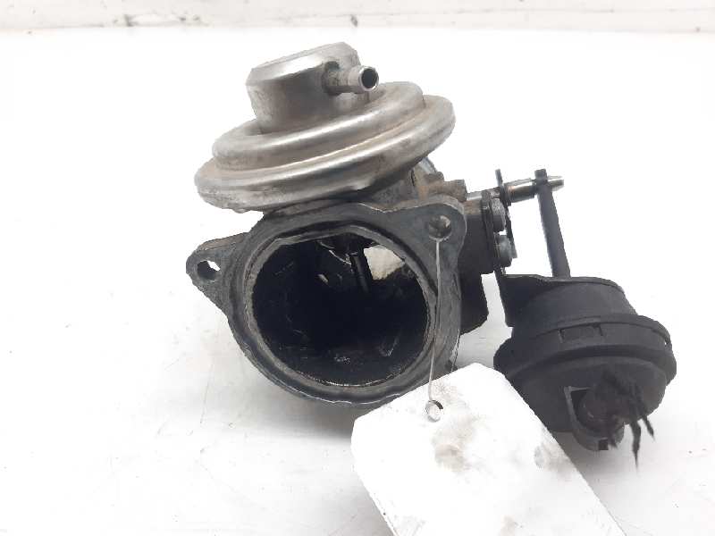 SEAT Toledo 2 generation (1999-2006) EGR Valve 038131501E 18516687