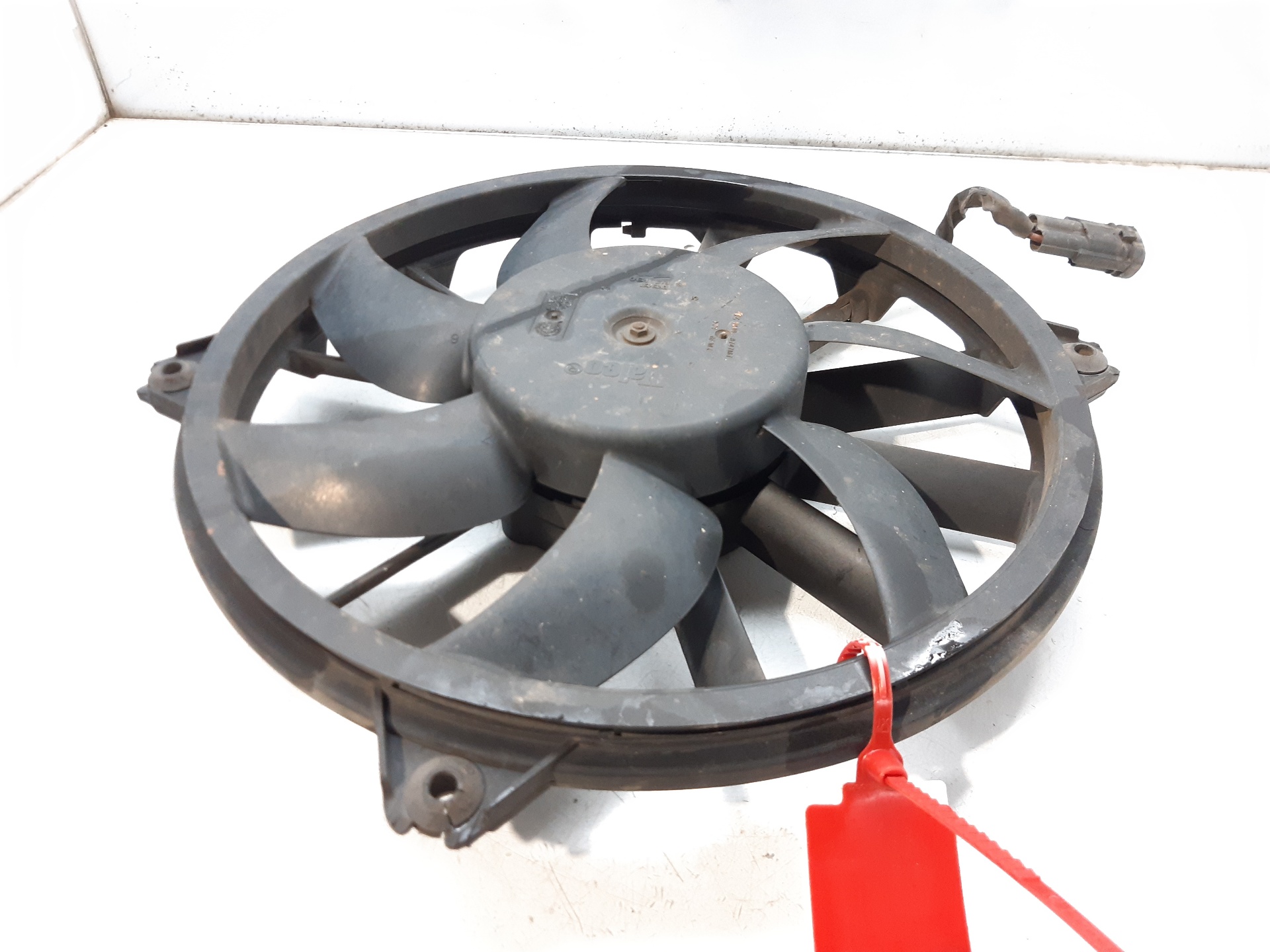 CITROËN C4 1 generation (2004-2011) Difūzoriaus ventiliatorius 1253A9 24114187