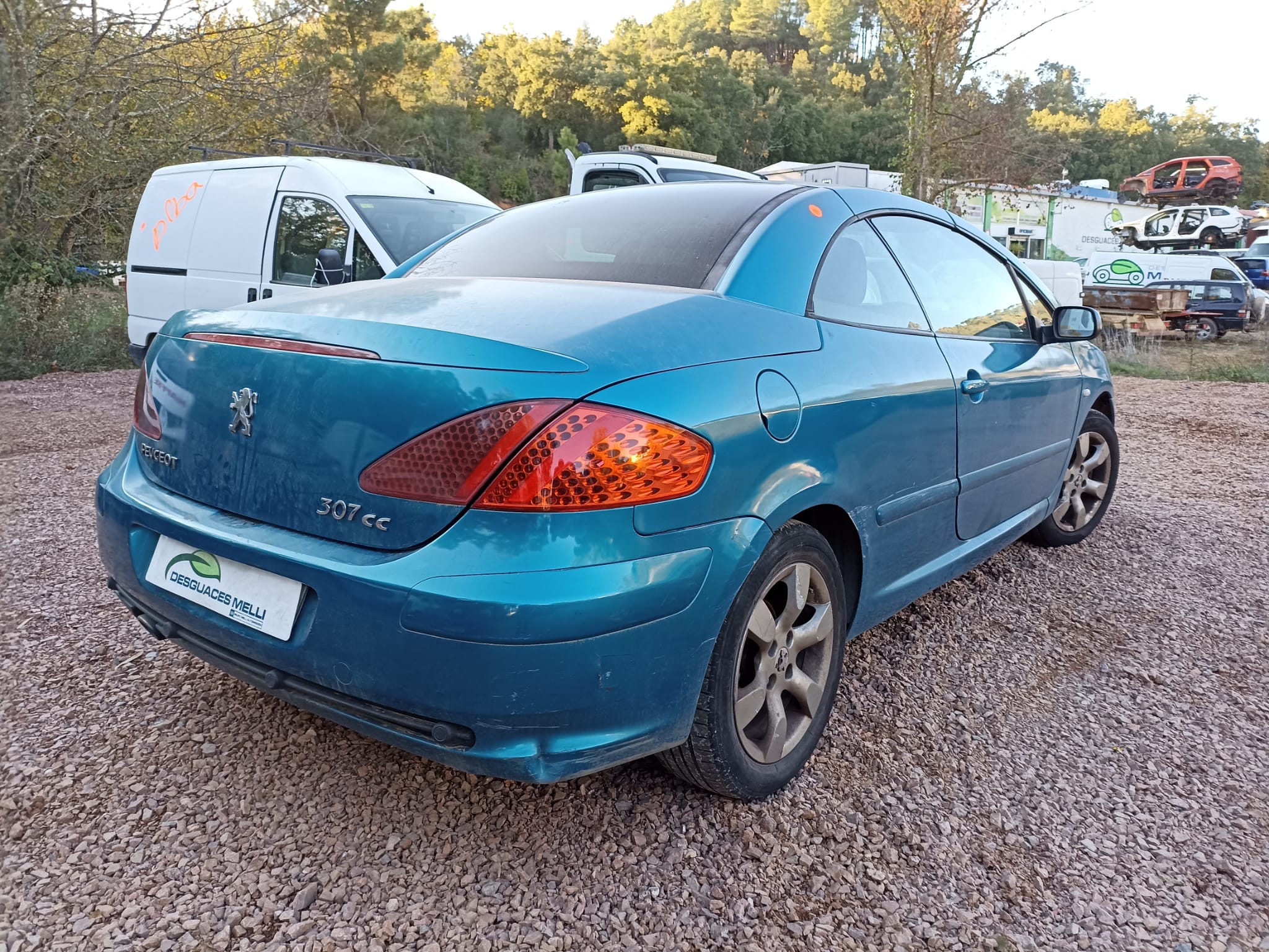 PEUGEOT 307 1 generation (2001-2008) Kартер двигателя 9653835680 22018648