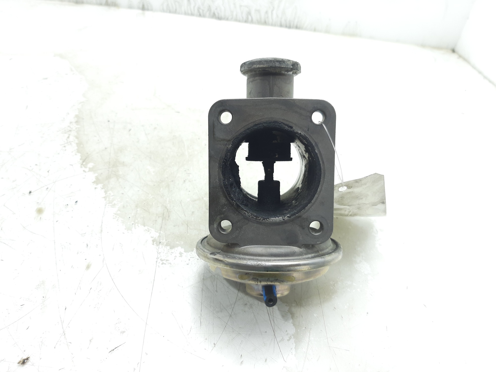 ALFA ROMEO X5 E53 (1999-2006) EGR Valve 778545204 22333182