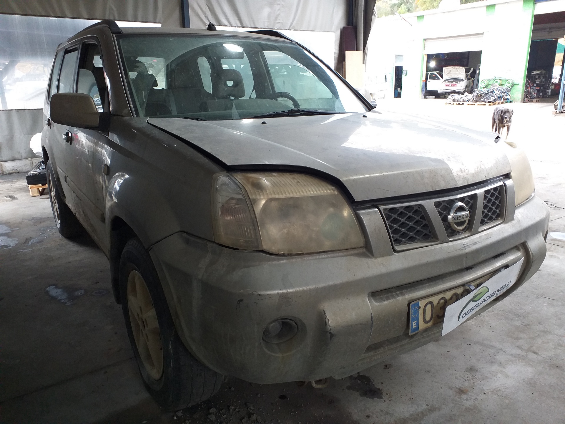 NISSAN X-Trail T30 (2001-2007) Стеклоподъемник задней левой двери 8073189913 22016461