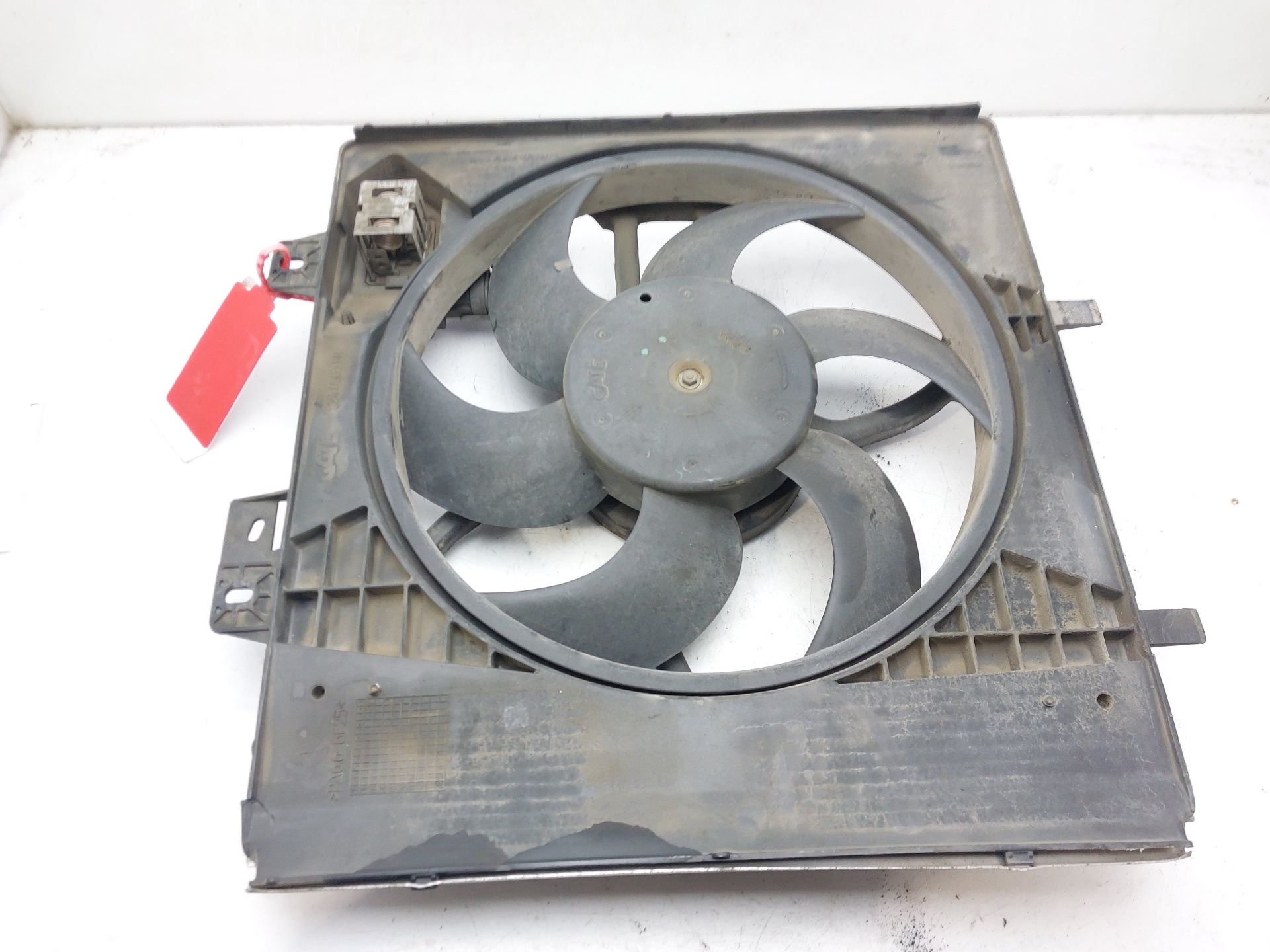 PEUGEOT 207 1 generation (2006-2009) Difūzoriaus ventiliatorius 9653804080 22495061