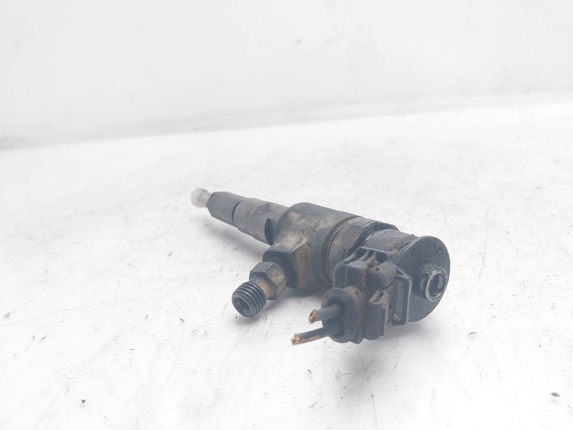 RENAULT 206 1 generation (1998-2009) Fuel Injector 0445110252 25008792