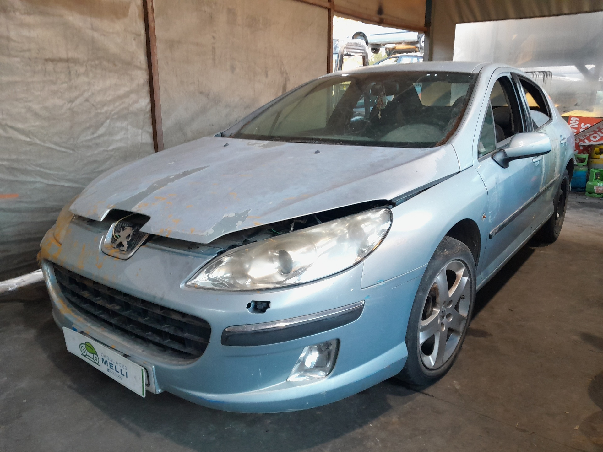 PEUGEOT 407 1 generation (2004-2010) Зеркало передней левой двери 96456984XT 22629952