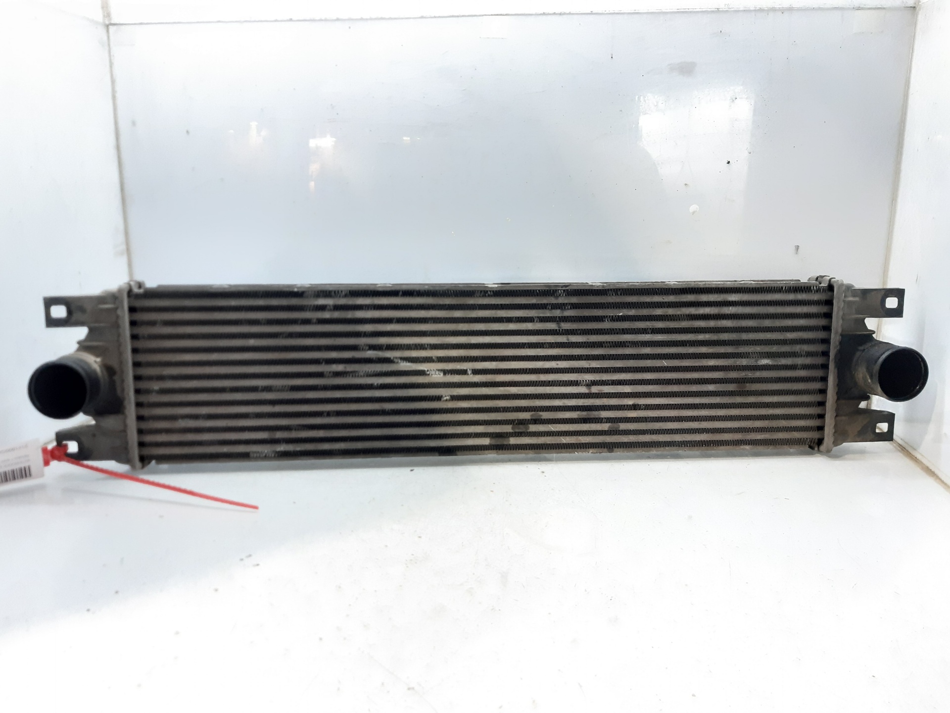 RENAULT Master Intercooler Radiator 2141000QAA 24041881