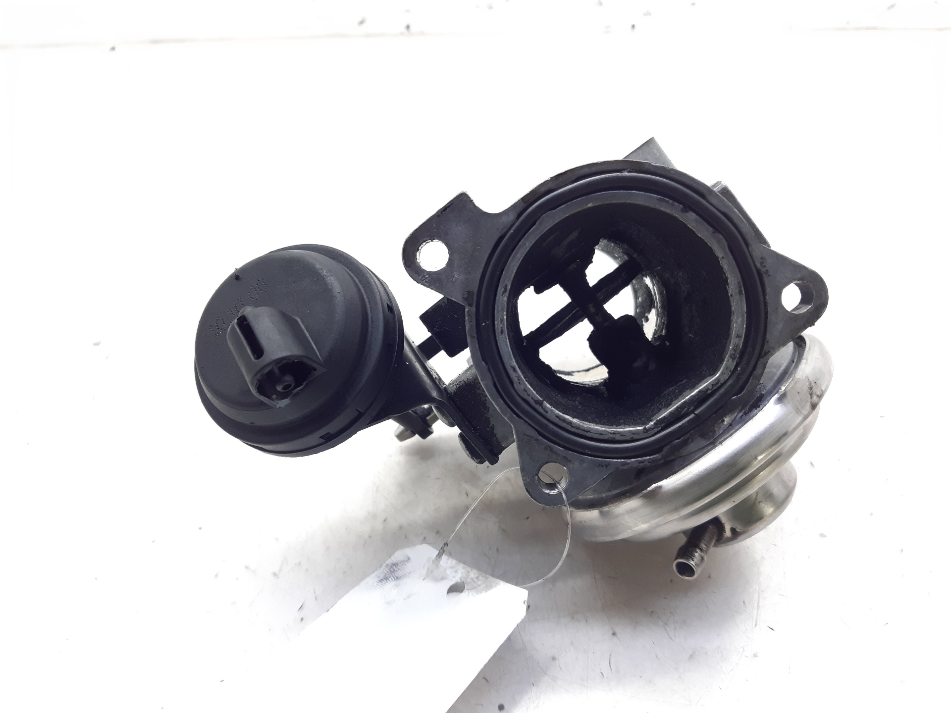 SEAT Leon 1 generation (1999-2005) EGR Valve 038129637 18770158