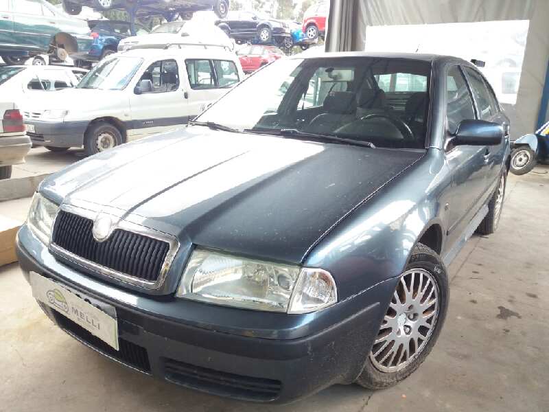 SKODA Octavia 1 generation (1996-2010) Priekšējās kreisās durvis 1U4831051 18370379