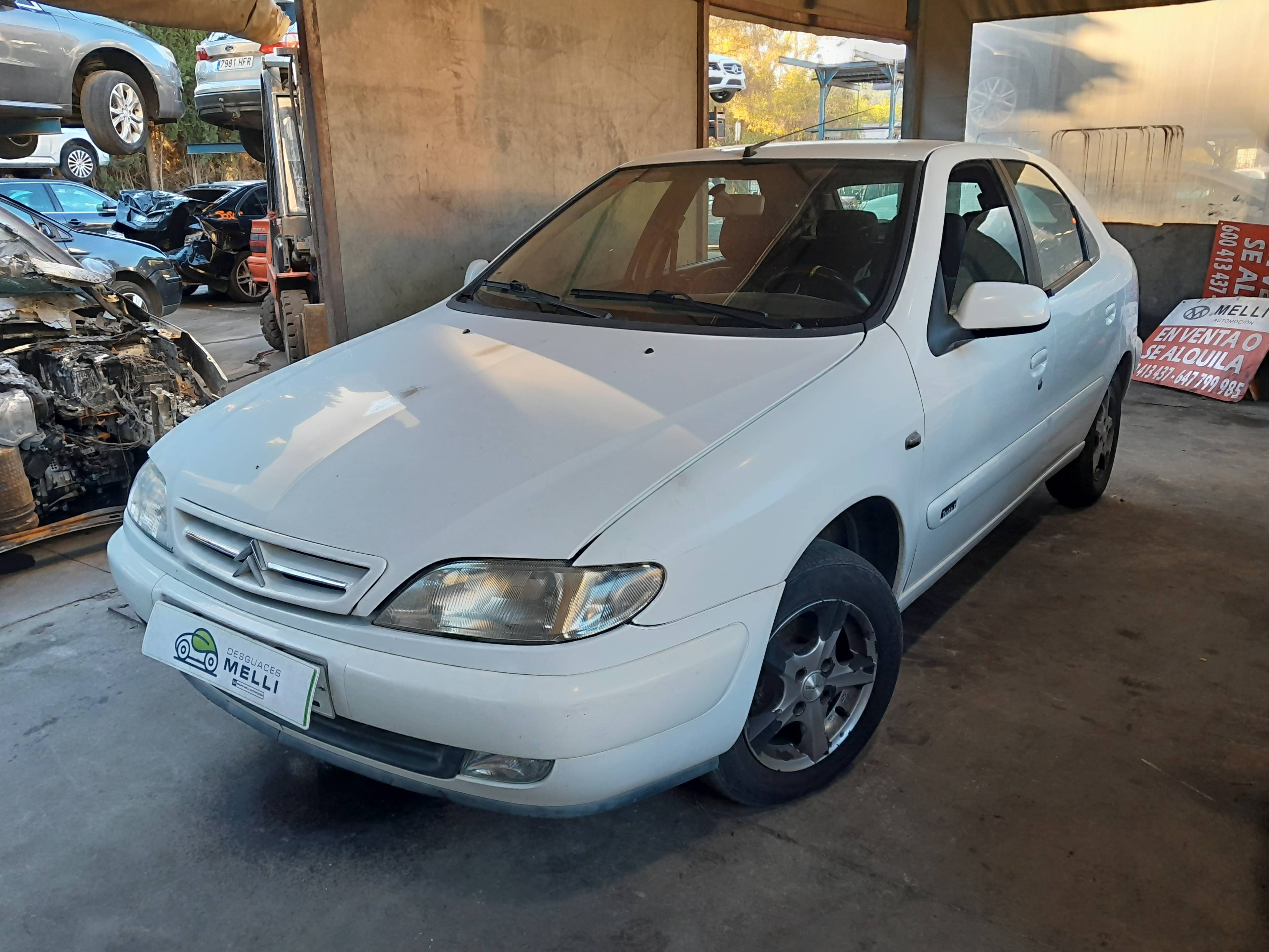 CITROËN Xsara 1 generation (1997-2004) Крыло переднее левое 7840H6 21421059