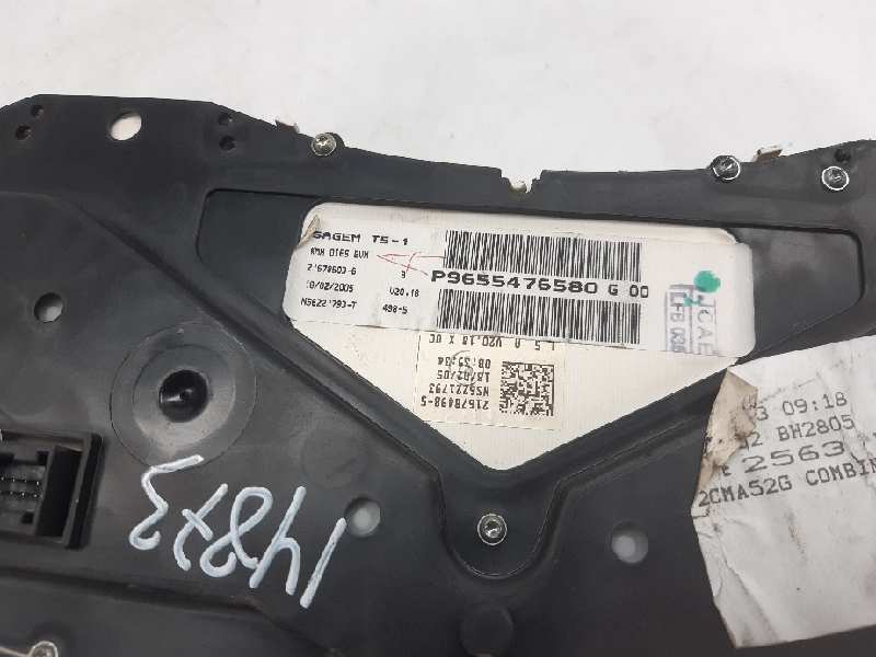 PEUGEOT 307 1 generation (2001-2008) Instrumentu panelis/spidometrs 9655476580 20180727