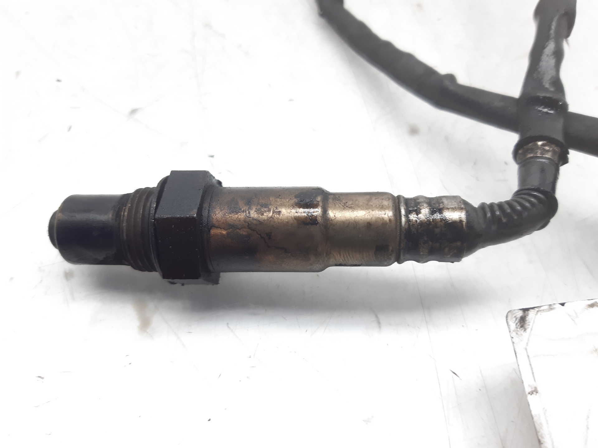 AUDI A6 C6/4F (2004-2011) Lambda Oxygen Sensor 03G906262F 20992776