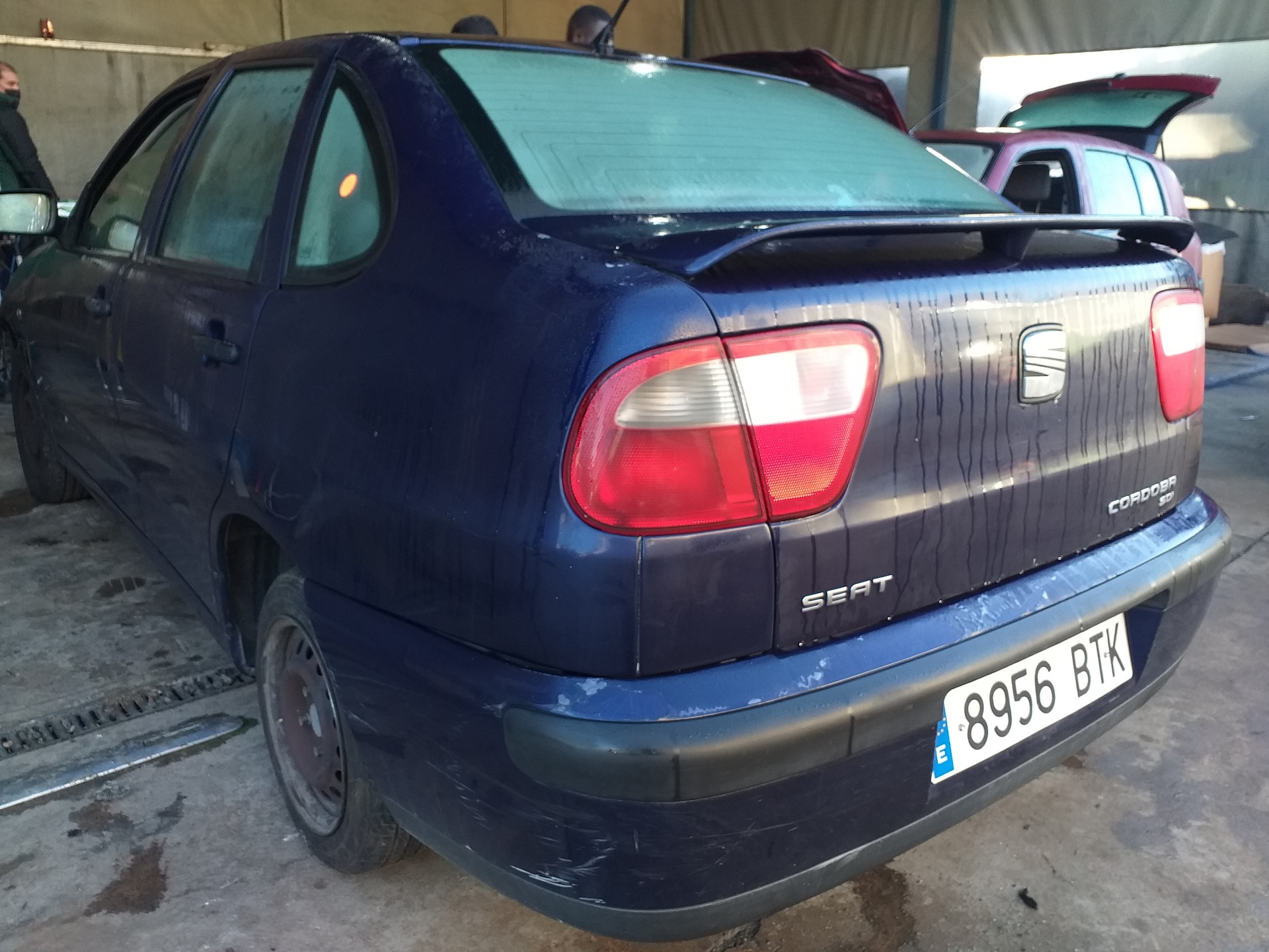 SEAT Ibiza 2 generation (1993-2002) Натяжитель ремня 038145101B 18777207