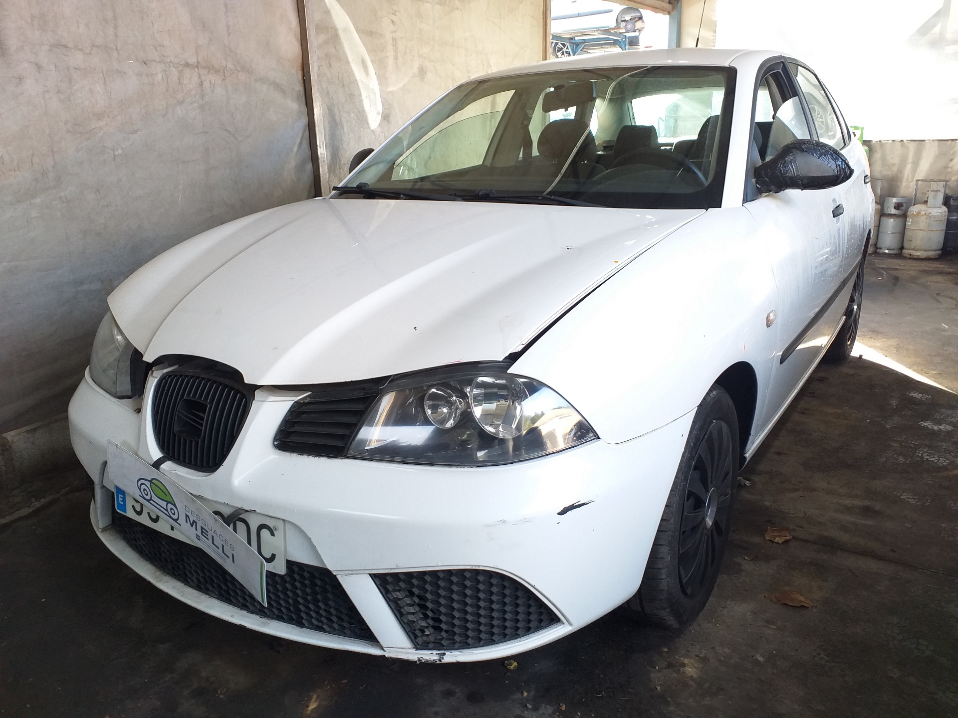 SEAT Ibiza 3 generation (2002-2008) Стеклоподъемник передней левой двери 6L4837751EE 25109204