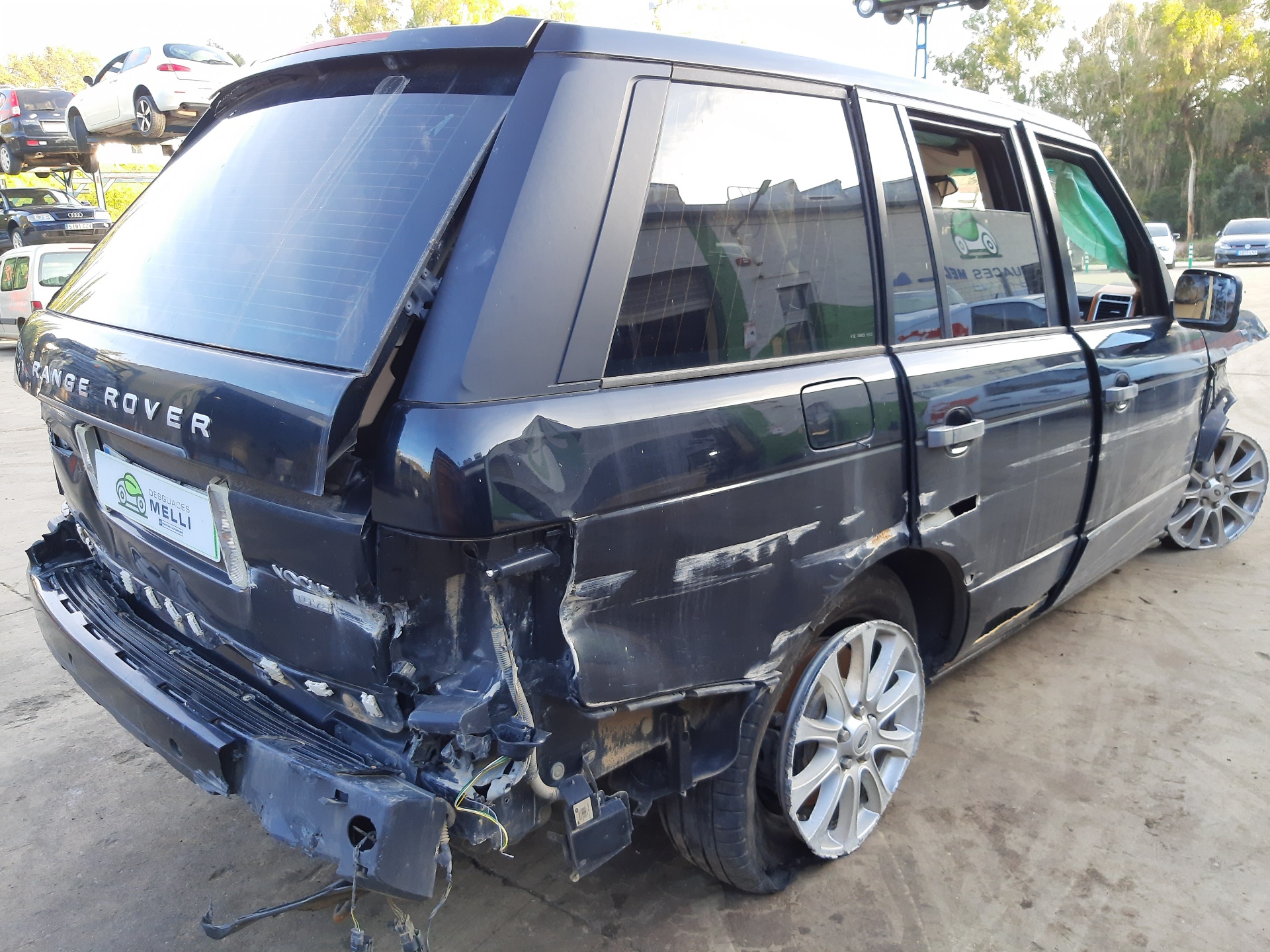 LAND ROVER Range Rover 3 generation (2002-2012) Блок управления шасси AH4214D392AB 22472925