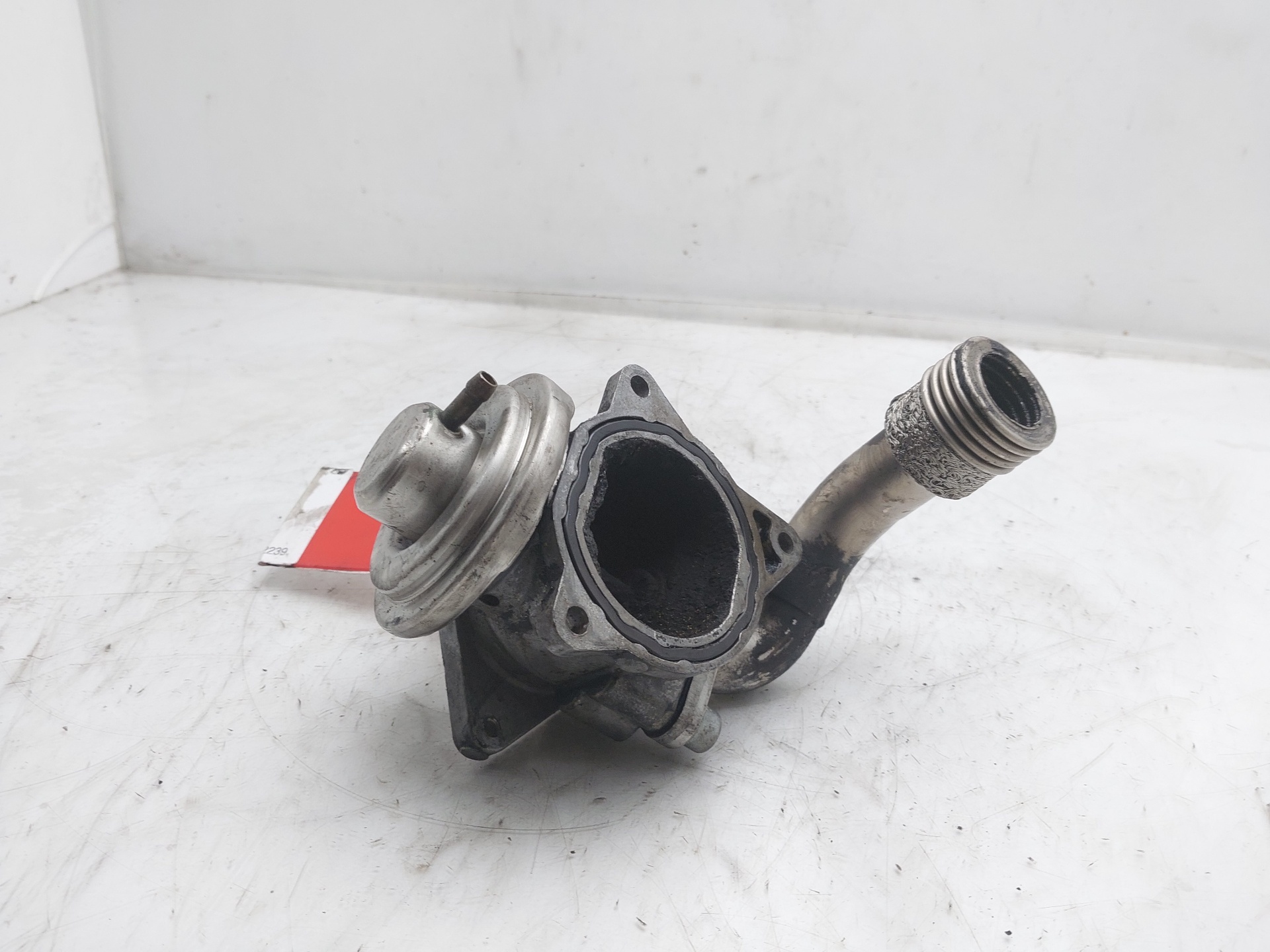 SEAT Leon 2 generation (2005-2012) Vanne EGR 038129637D 22559698