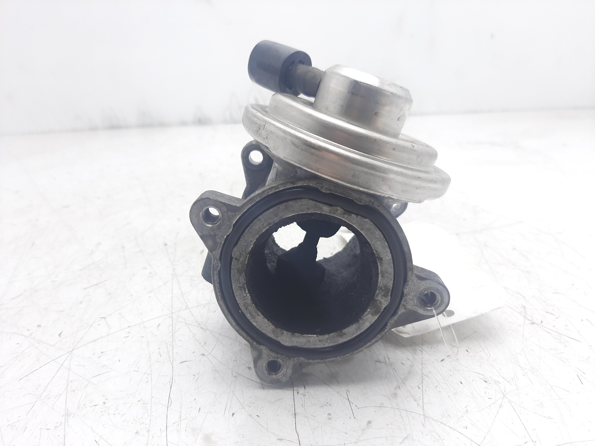 SKODA Fabia 6Y (1999-2007) EGR Valve 045129637A 22334563