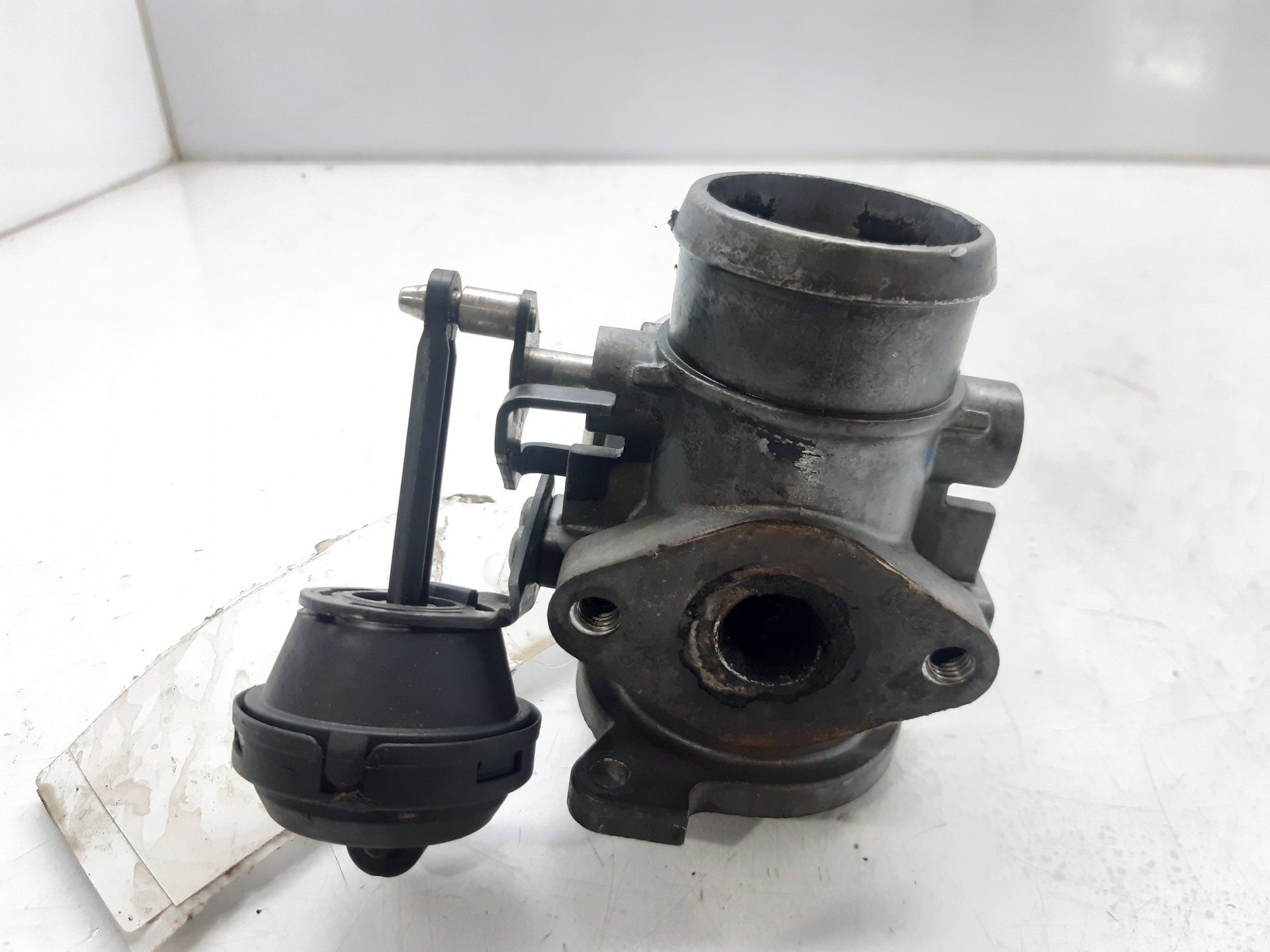 SKODA Octavia 1 generation (1996-2010) EGR клапан 038131501E 18704735