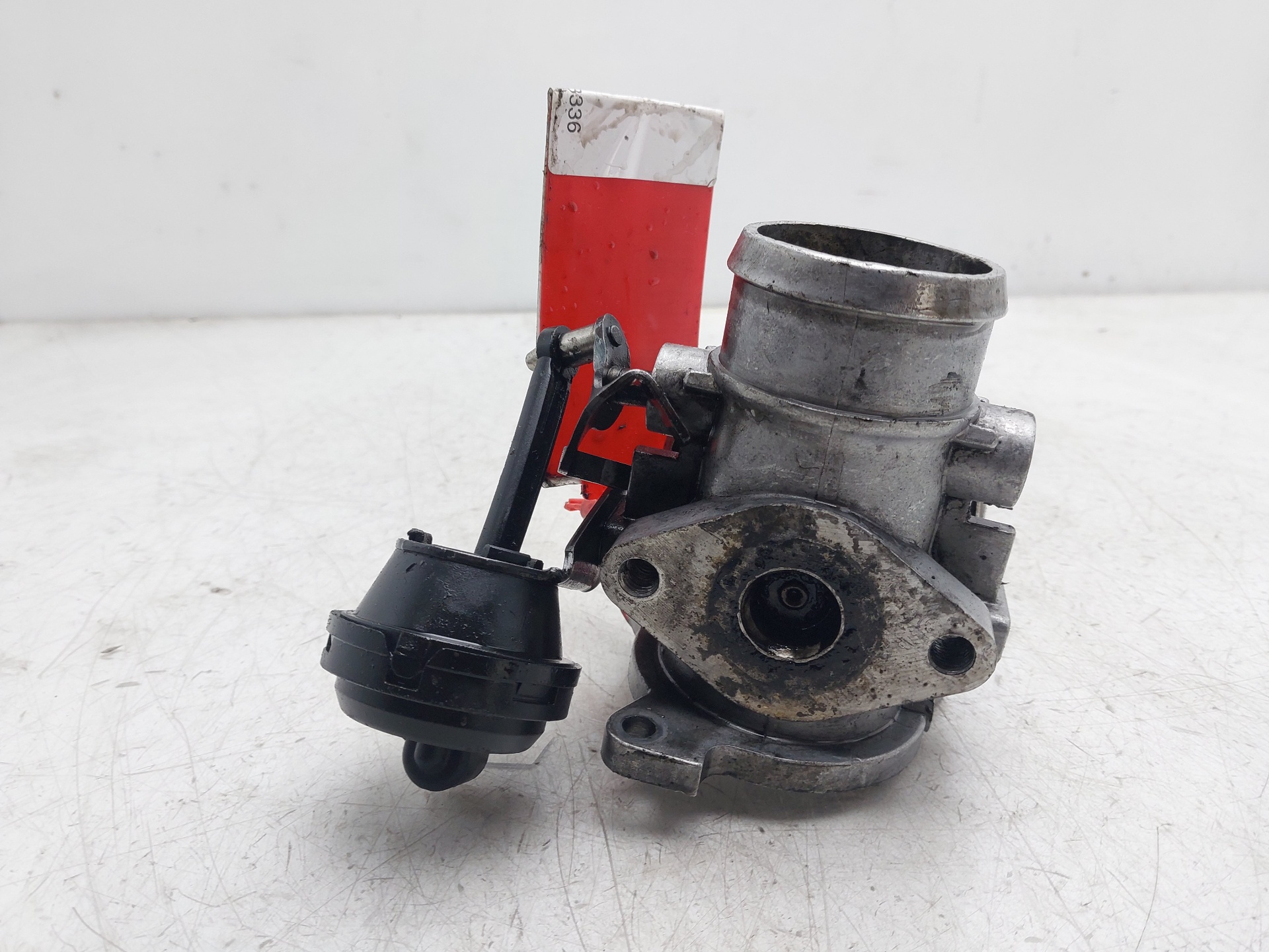 NISSAN Toledo 2 generation (1999-2006) EGR vārsts 038131501E 22760039