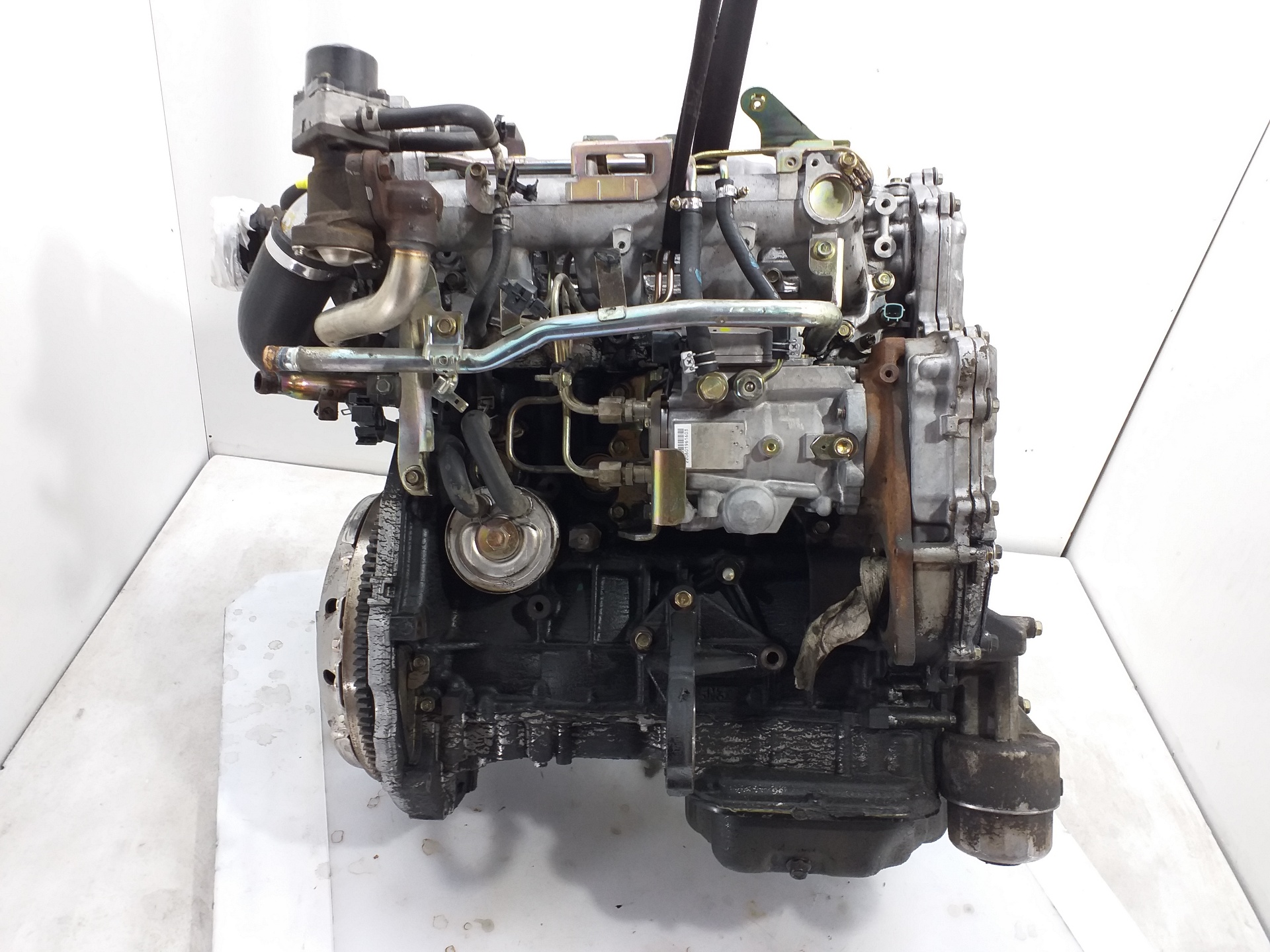 NISSAN Almera N16 (2000-2006) Motor YD22 24972972