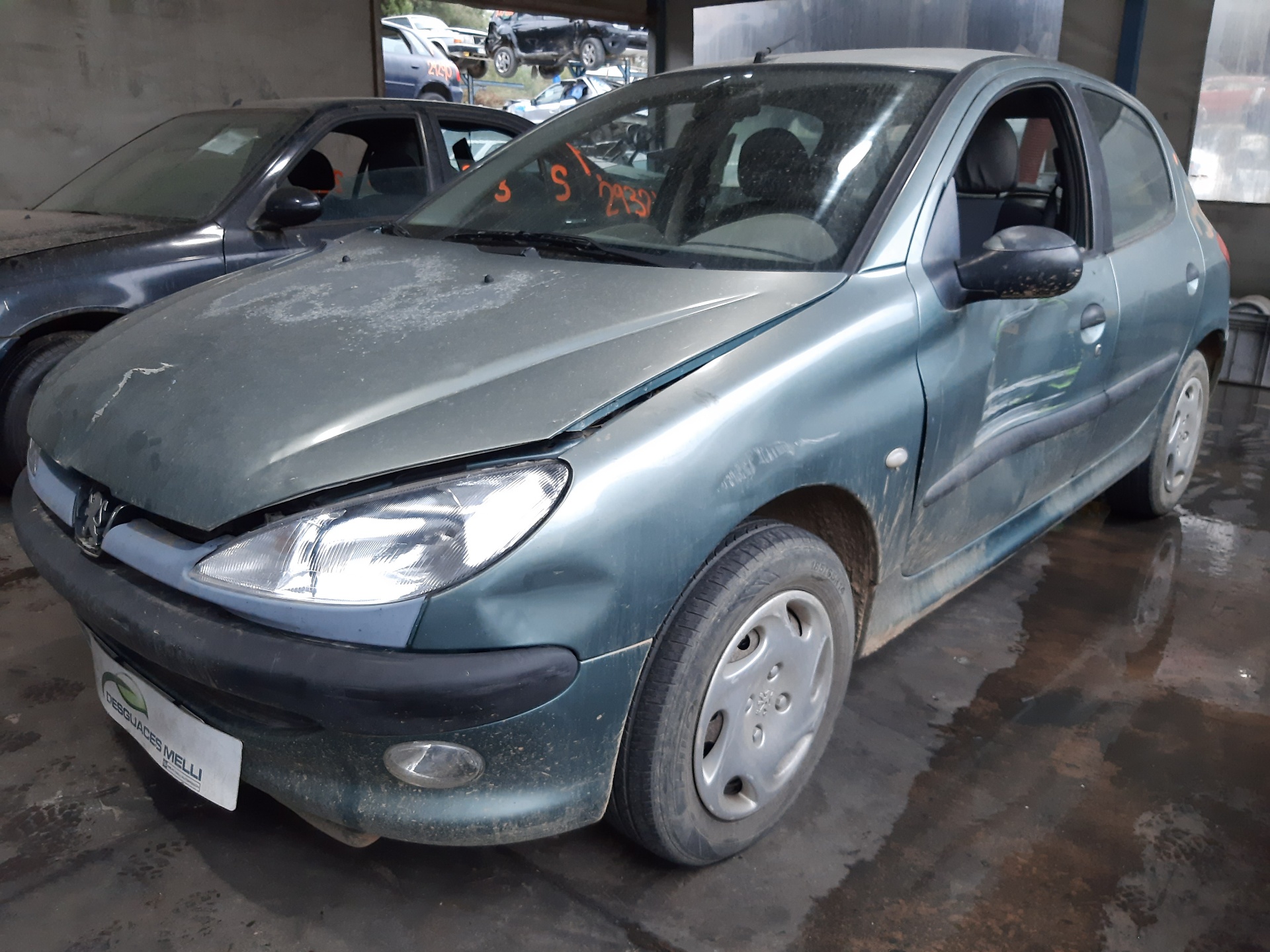 VOLKSWAGEN 206 1 generation (1998-2009) Дверь задняя левая 900678 22462203