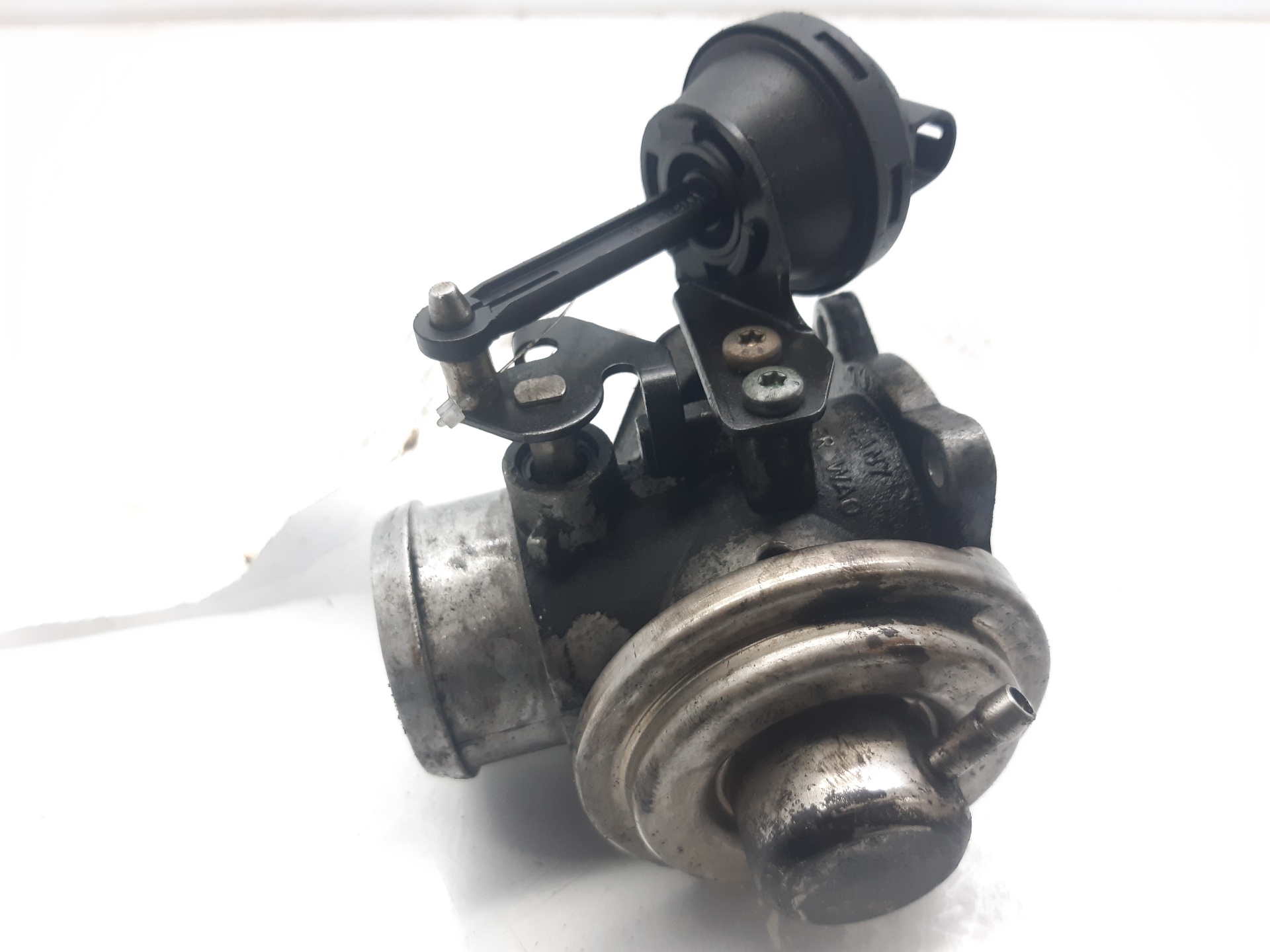 SEAT Leon 1 generation (1999-2005) EGR Valve 038129637 18639069