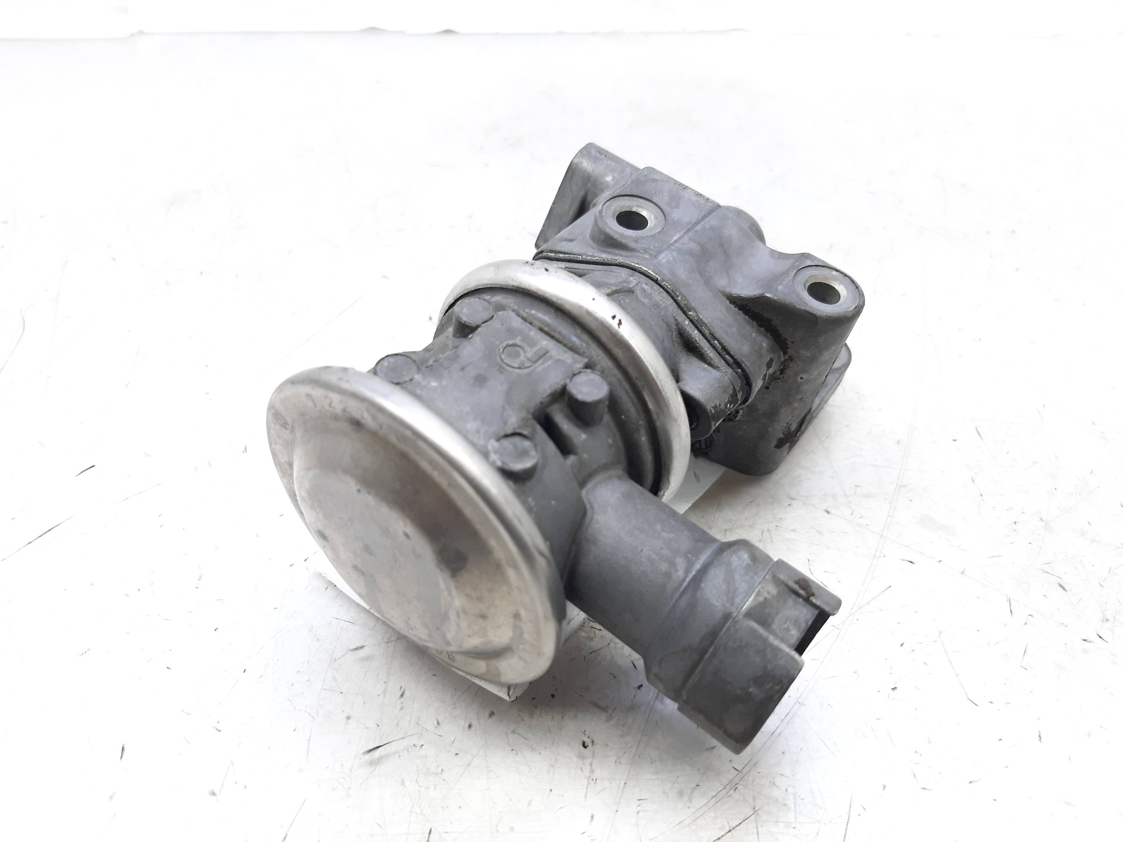 SEAT Toledo 3 generation (2004-2010) EGR Valve 06A131351F 18802428