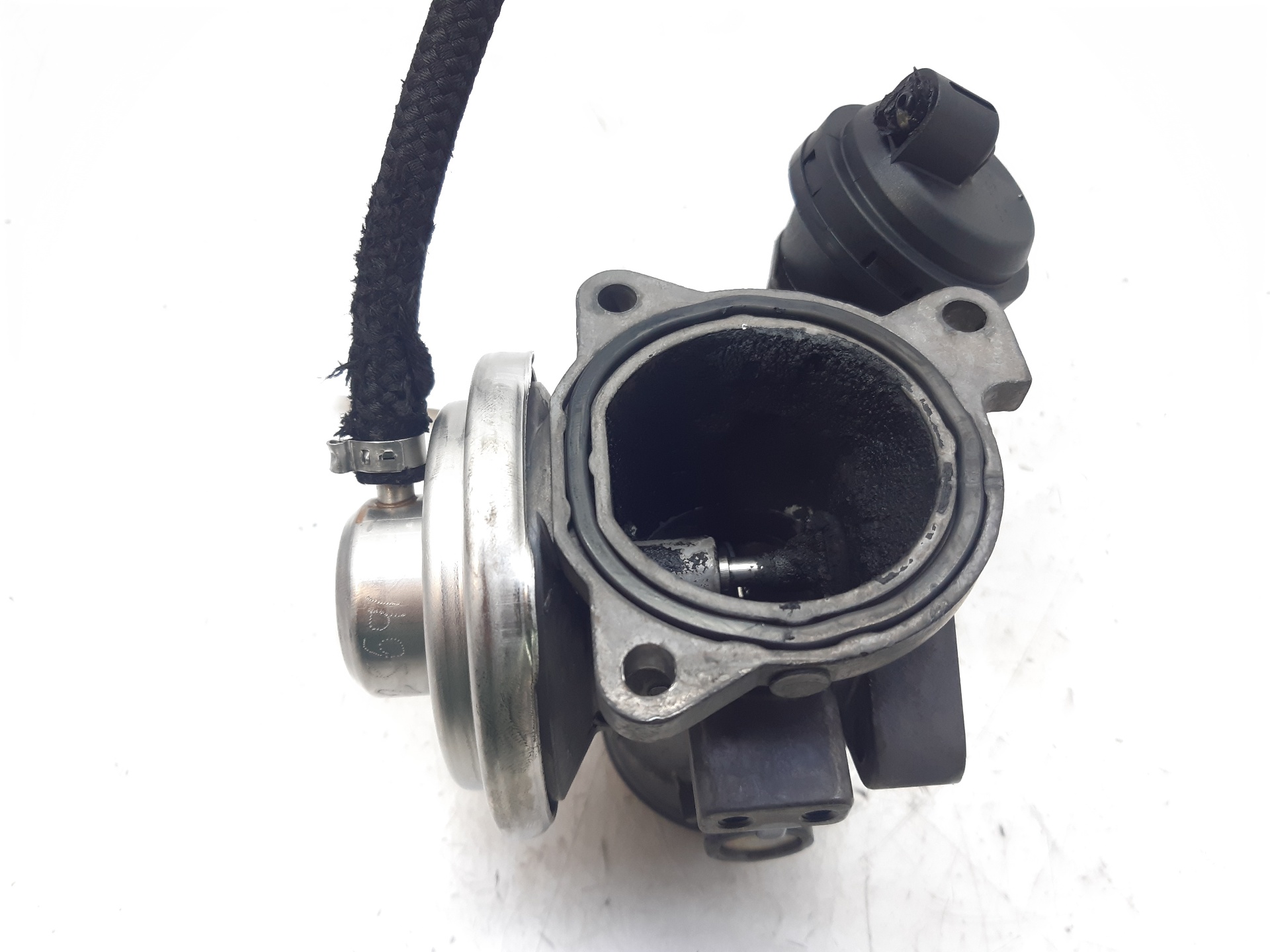 CHEVROLET A3 8L (1996-2003) EGR Valve 038131501E 18749440