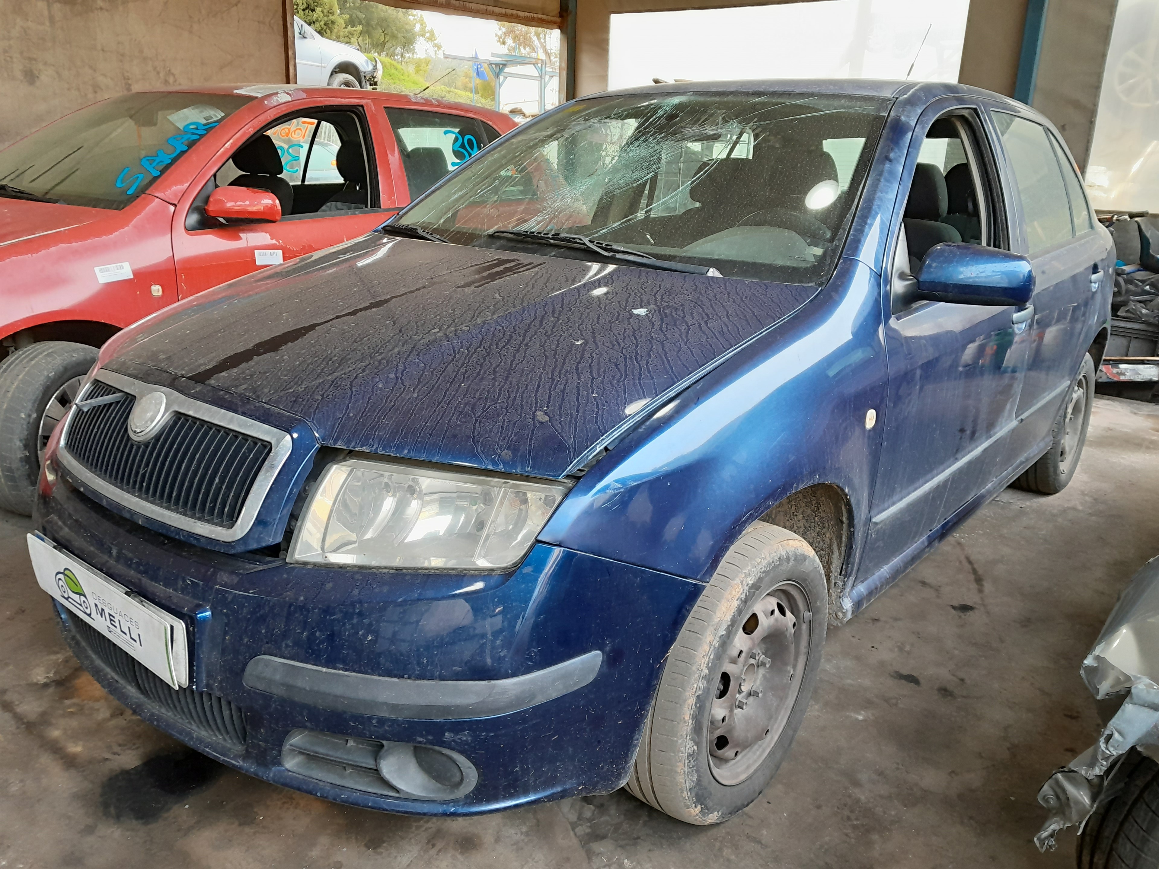 SKODA Fabia 6Y (1999-2007) Блок управления двигателем 045906019BR 23014839