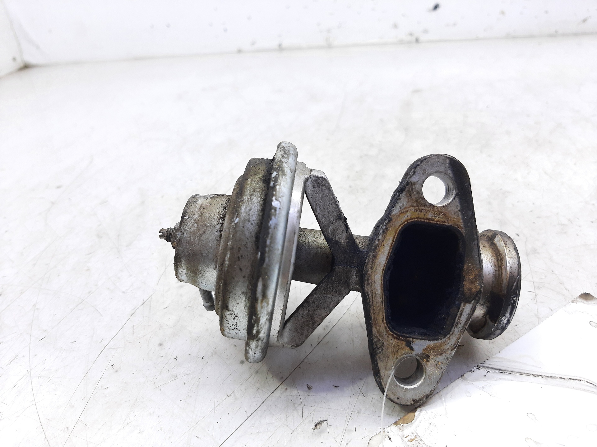 SEAT Cordoba 1 generation (1993-2003) EGR Valve 038131501A 22285078