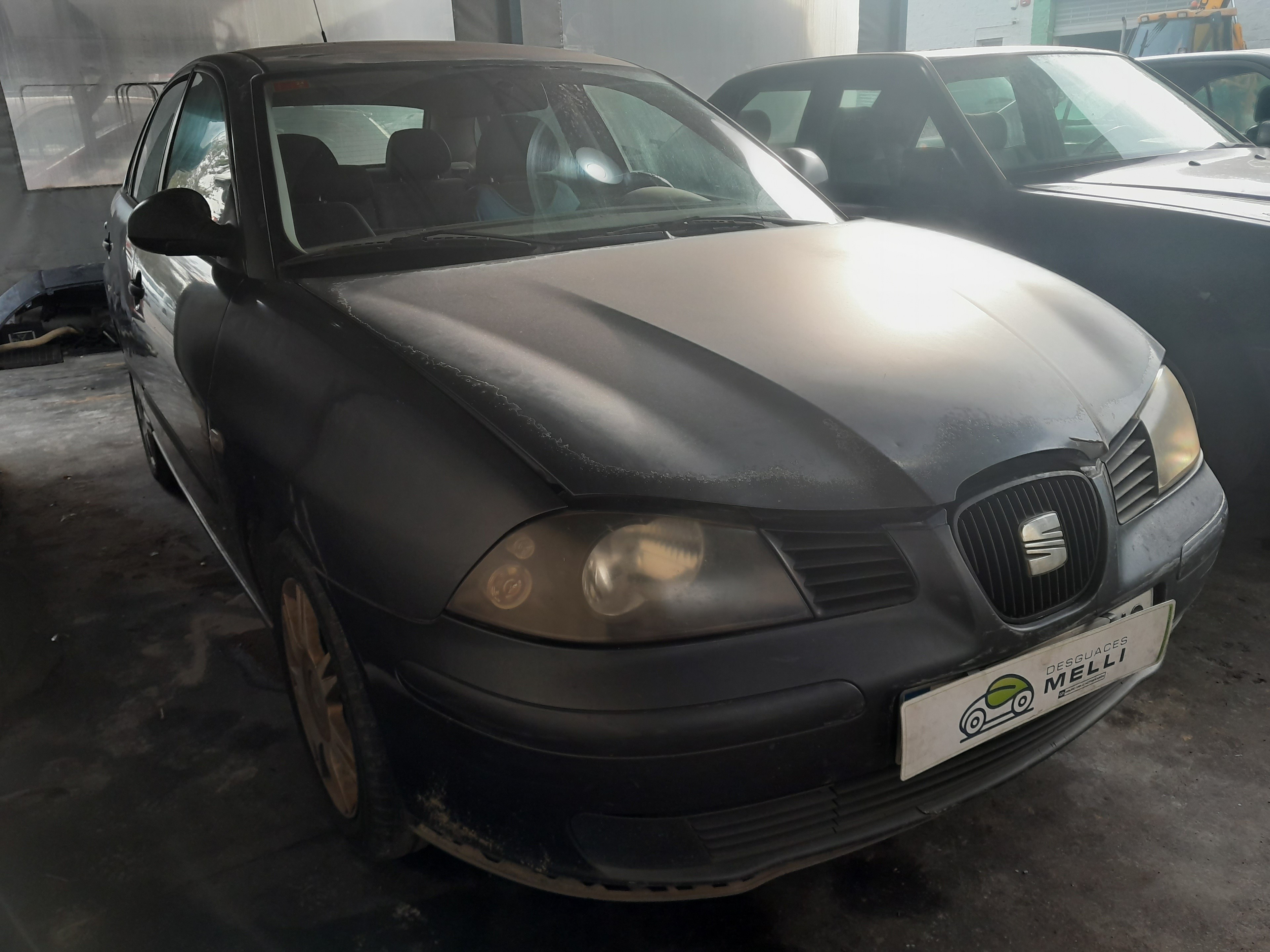 SEAT Ibiza 3 generation (2002-2008) Pompe de direction assistée 6Q2423051AA 25279301