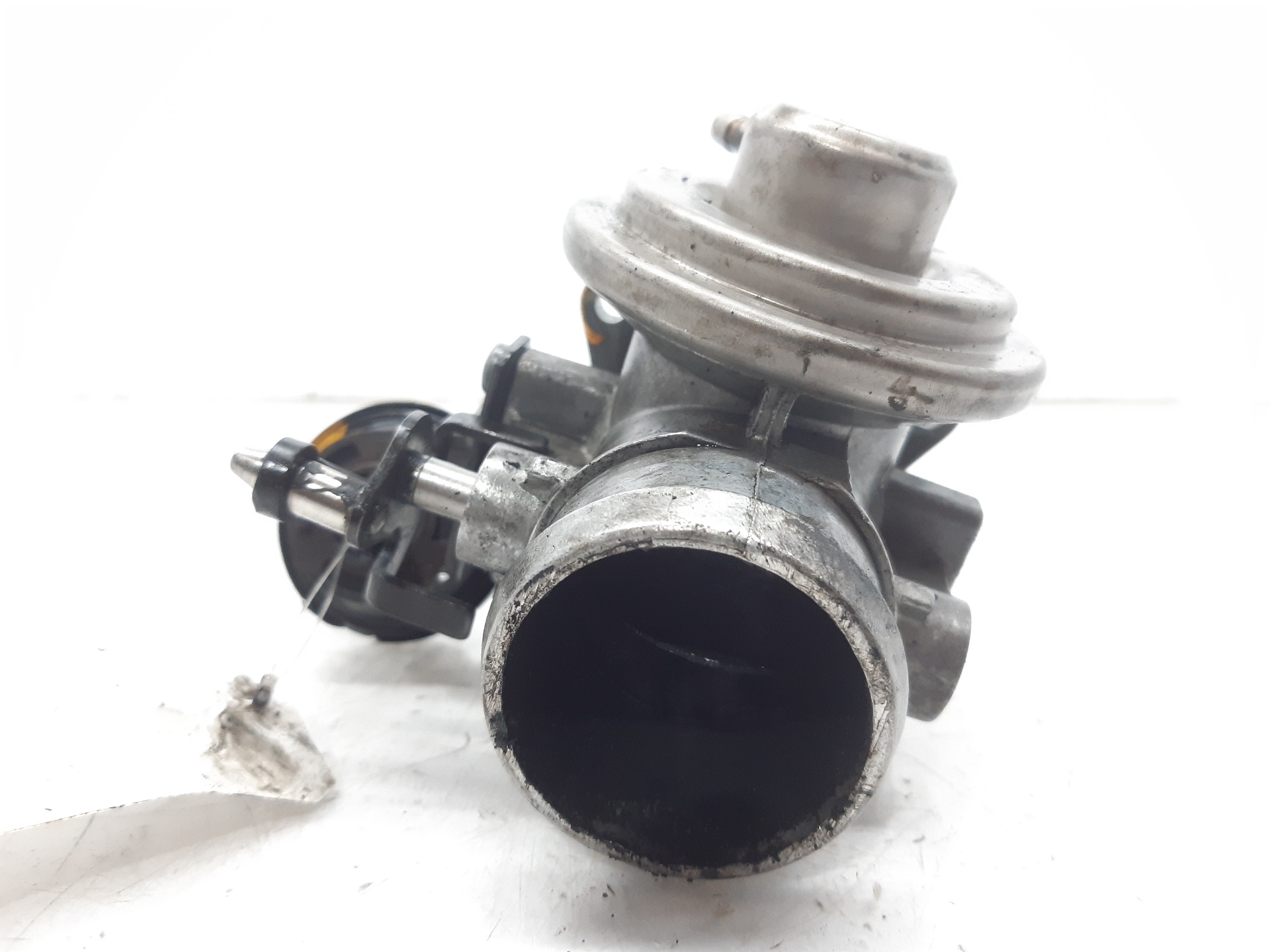 VOLKSWAGEN Bora 1 generation (1998-2005) EGR vožtuvas 038129637B 18658463