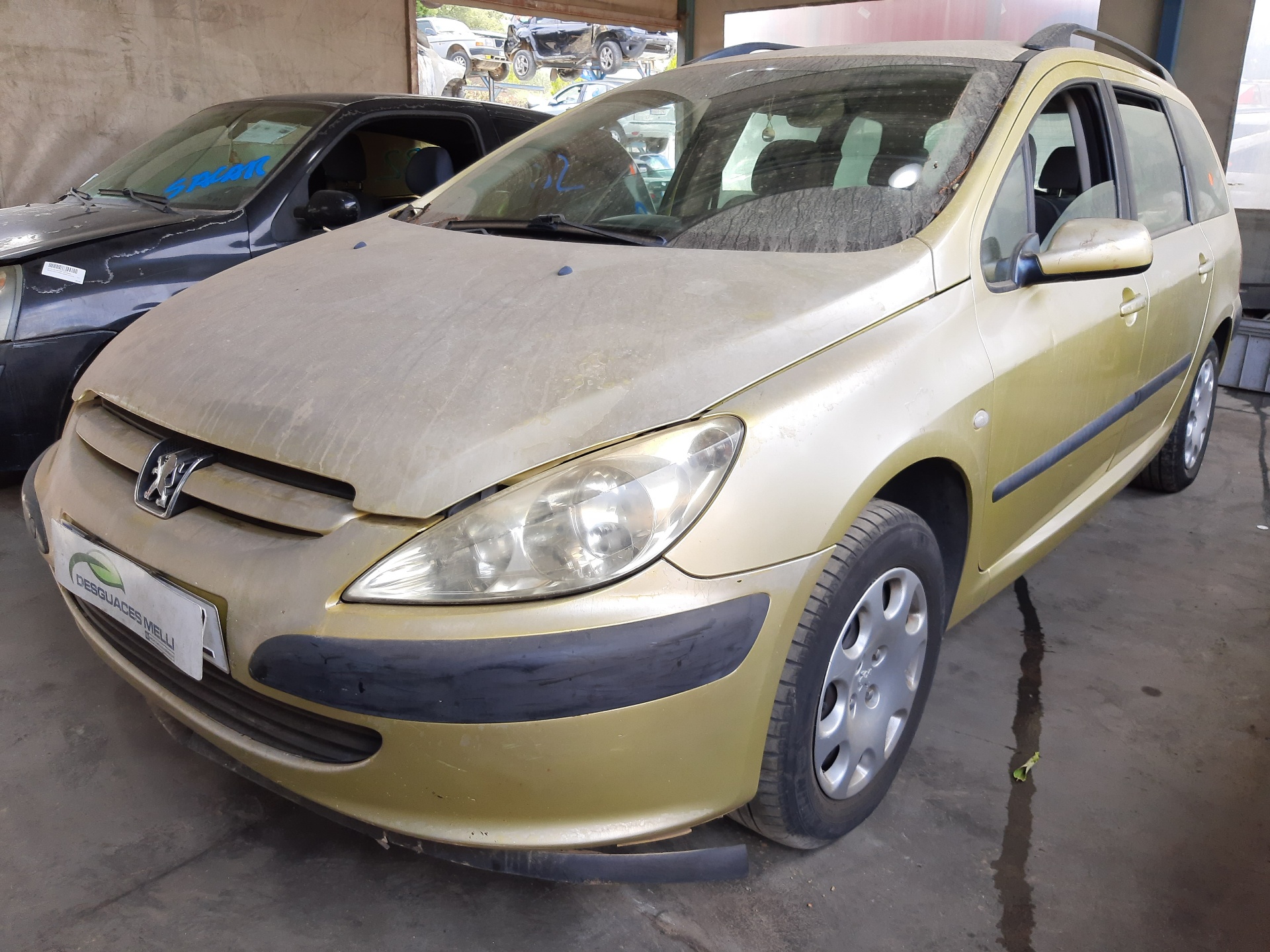 PEUGEOT 307 1 generation (2001-2008) Aizmugurējo labo durvju logu pacēlājs 9224A3 22460032