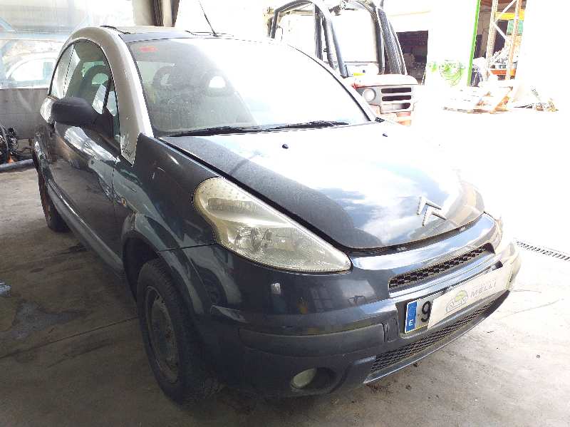 CITROËN C3 1 generation (2002-2010) Priekinės kairės durys 9002S7 20183742