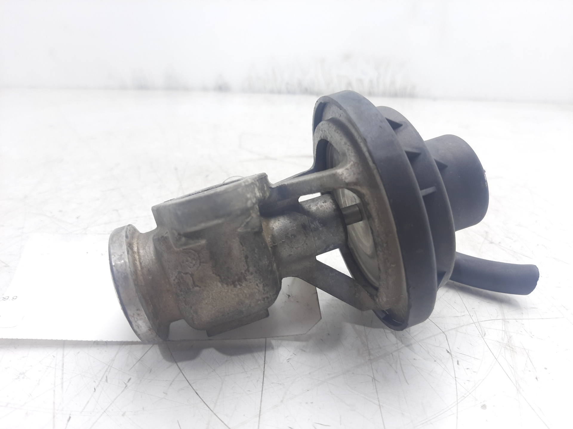 VOLKSWAGEN Bora 1 generation (1998-2005) EGR Valve 038129637 22333156