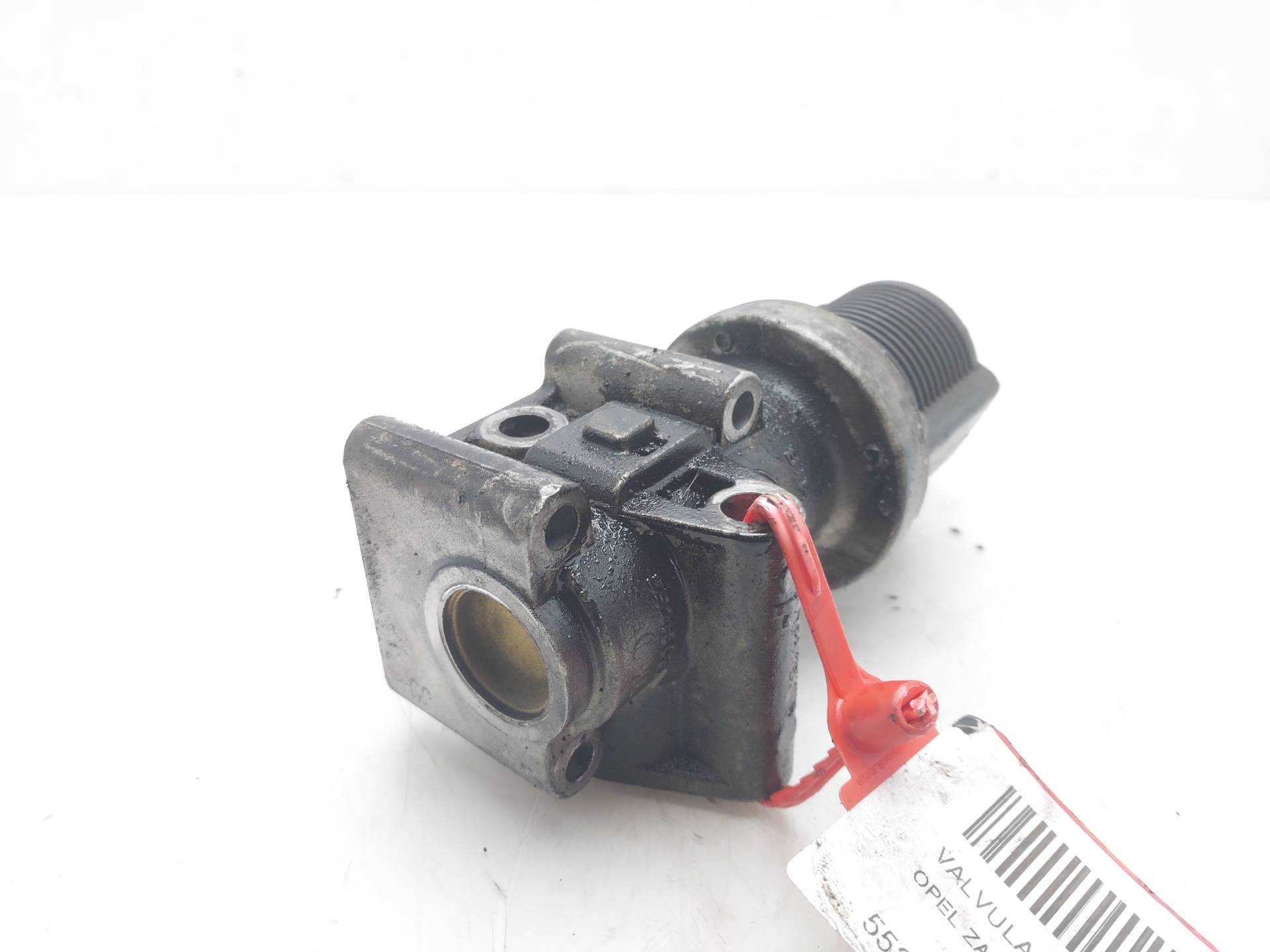 OPEL Zafira B (2005-2010) EGR Valve 55215031 24960190