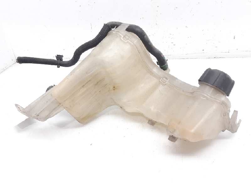 VOLKSWAGEN Laguna 3 generation (2007-2015) Expansion Tank 217100014R 18430549