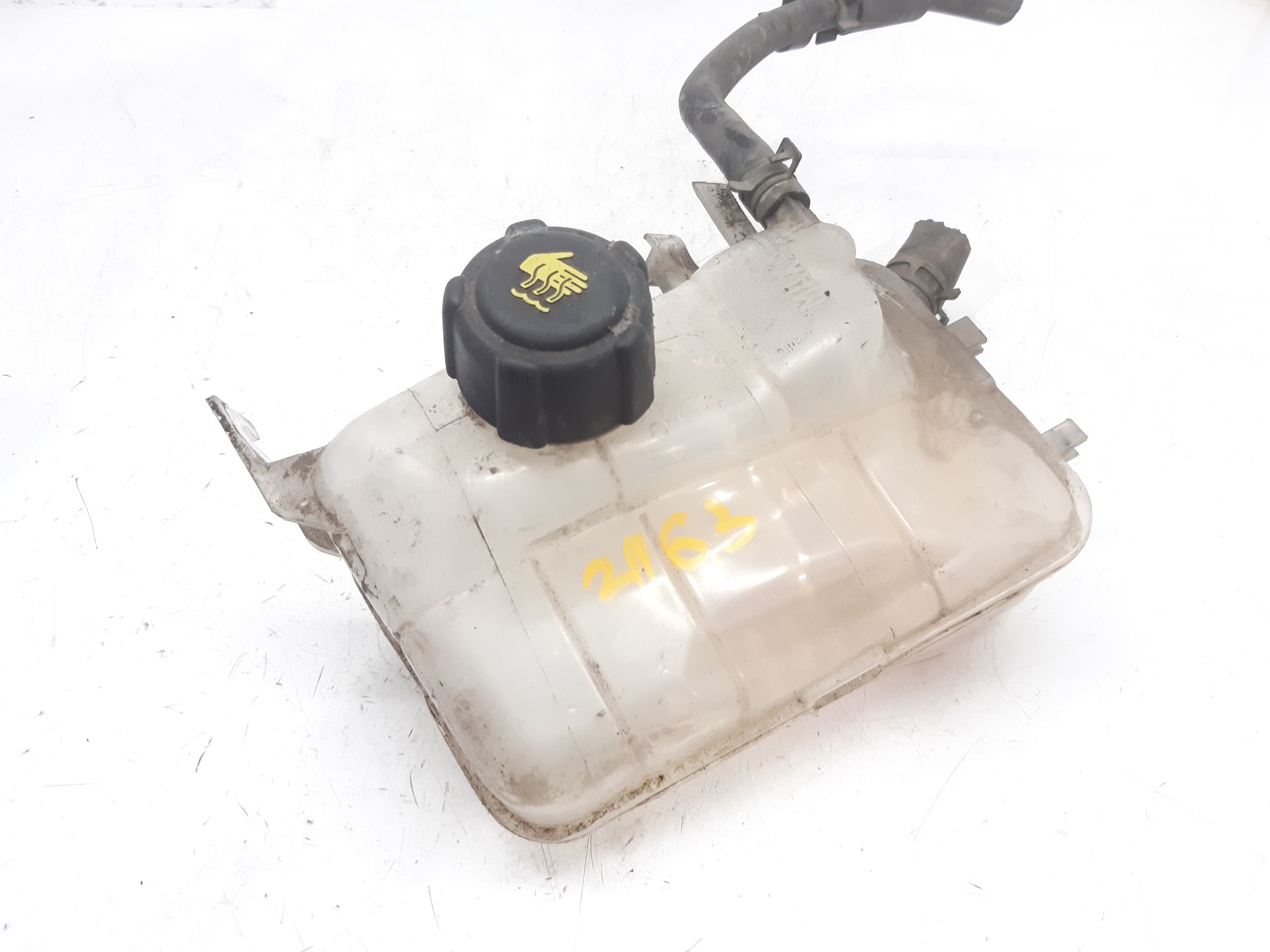 RENAULT Megane 3 generation (2008-2020) Expansion Tank 217100005R 18647260