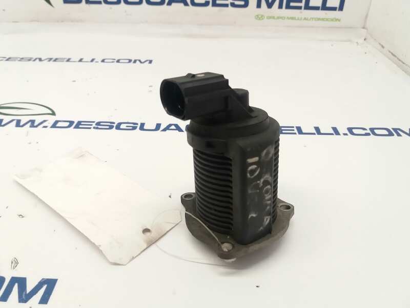 RENAULT Corsa C (2000-2006) EGR-ventil 04602211 24878669