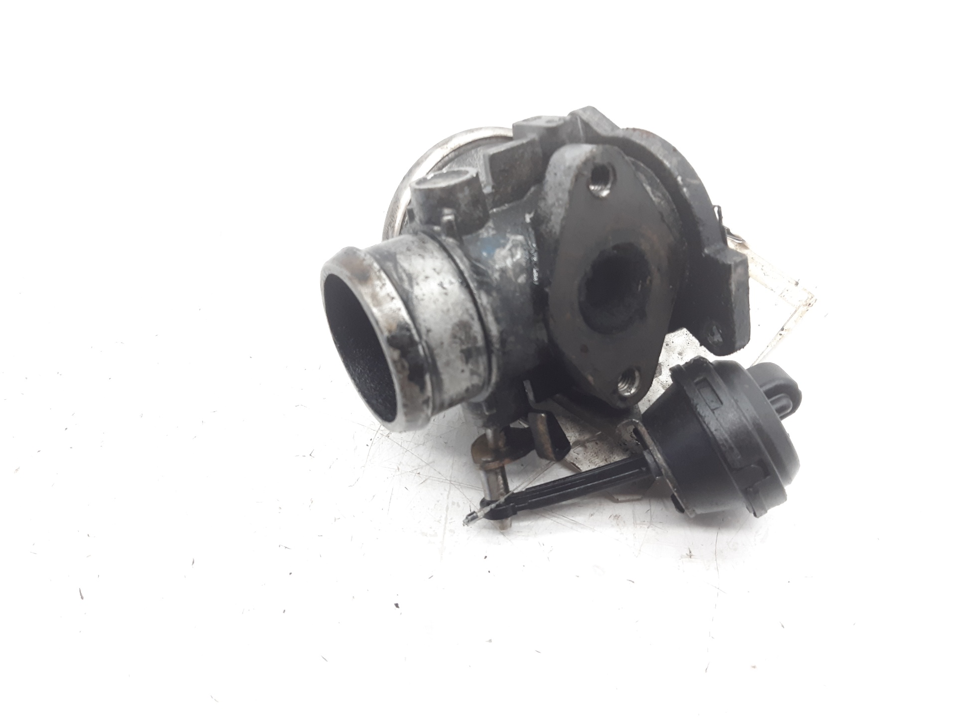 VOLKSWAGEN Golf 4 generation (1997-2006) Vanne EGR 038131501A 24014502