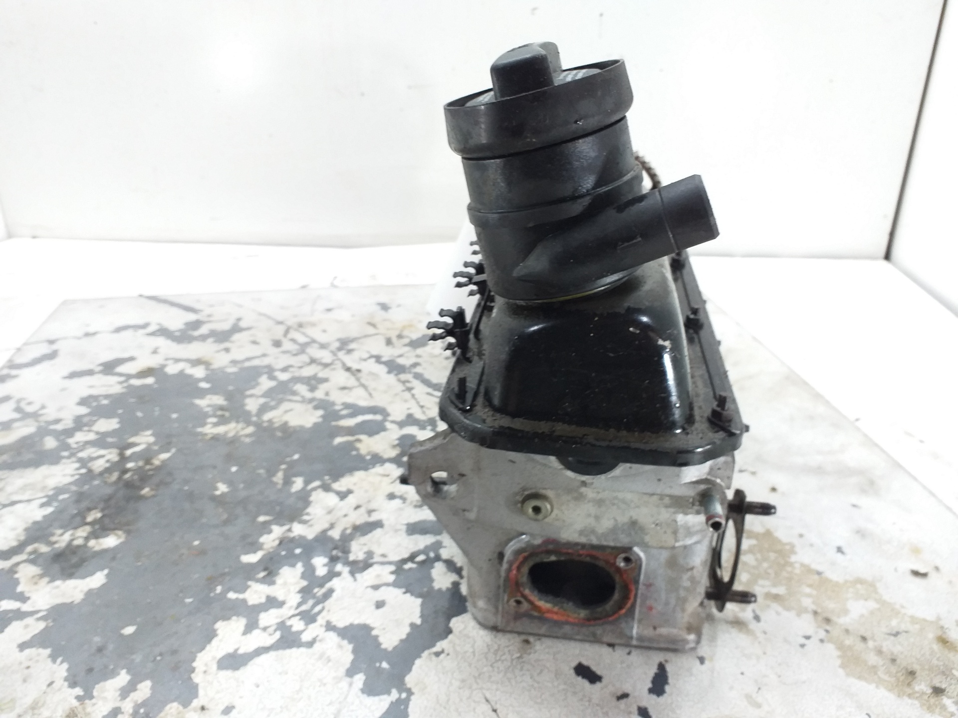 SEAT Cordoba 1 generation (1993-2003) Engine Cylinder Head 06B103373A 18646028