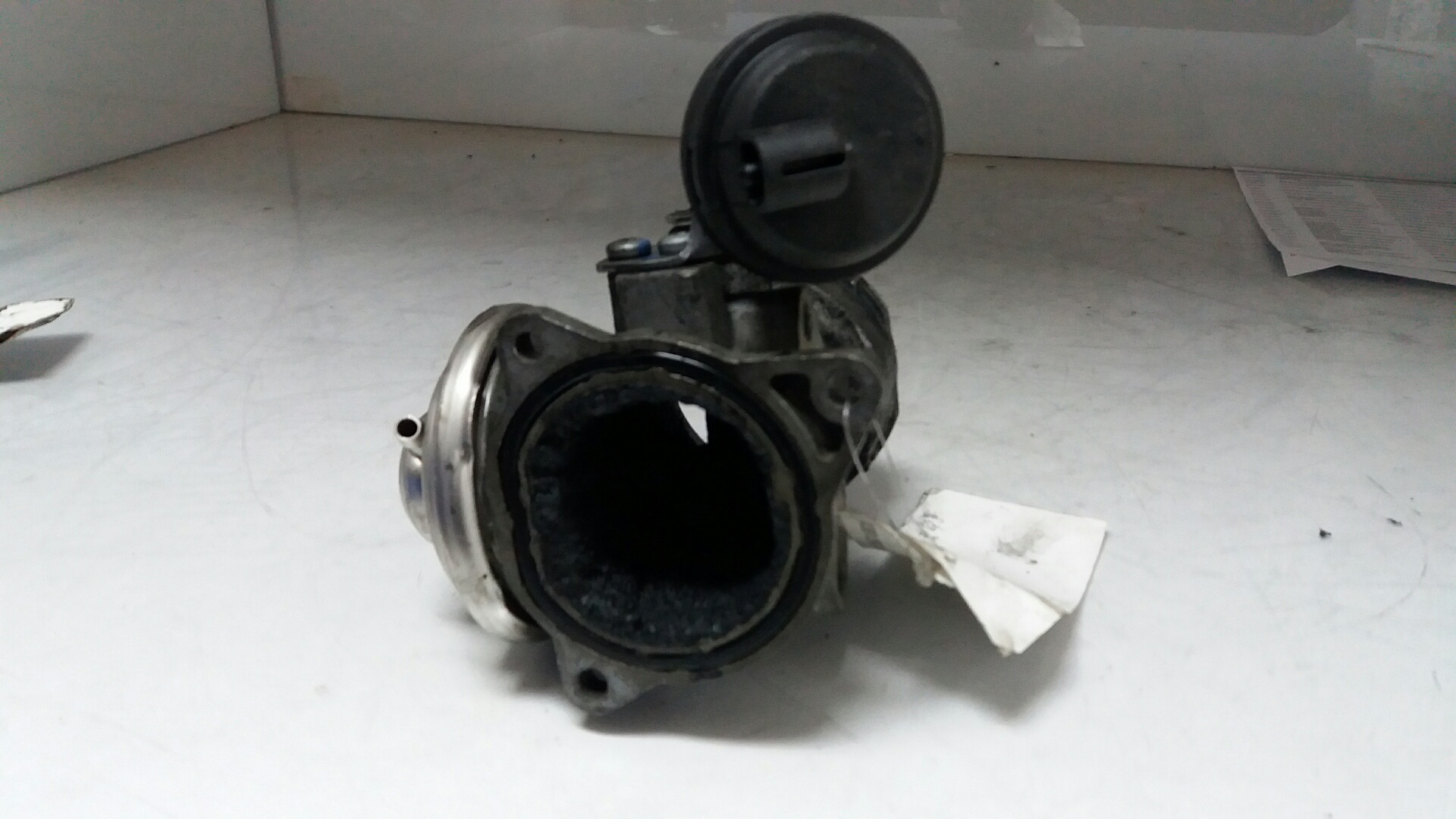 SEAT Toledo 2 generation (1999-2006) Клапан EGR 038129637L 22655890