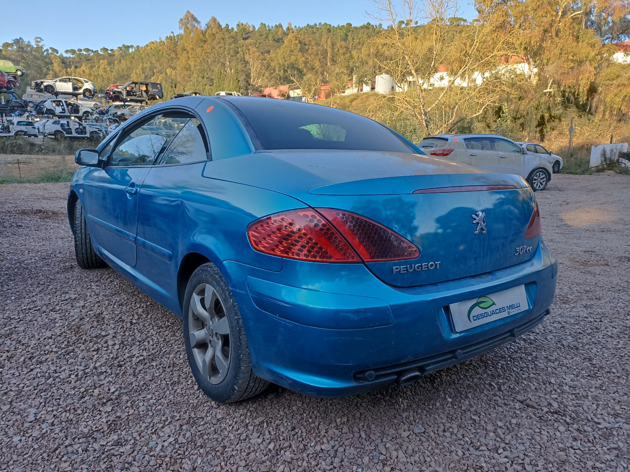 PEUGEOT 307 1 generation (2001-2008) Ступица передняя левая 364696 24931904