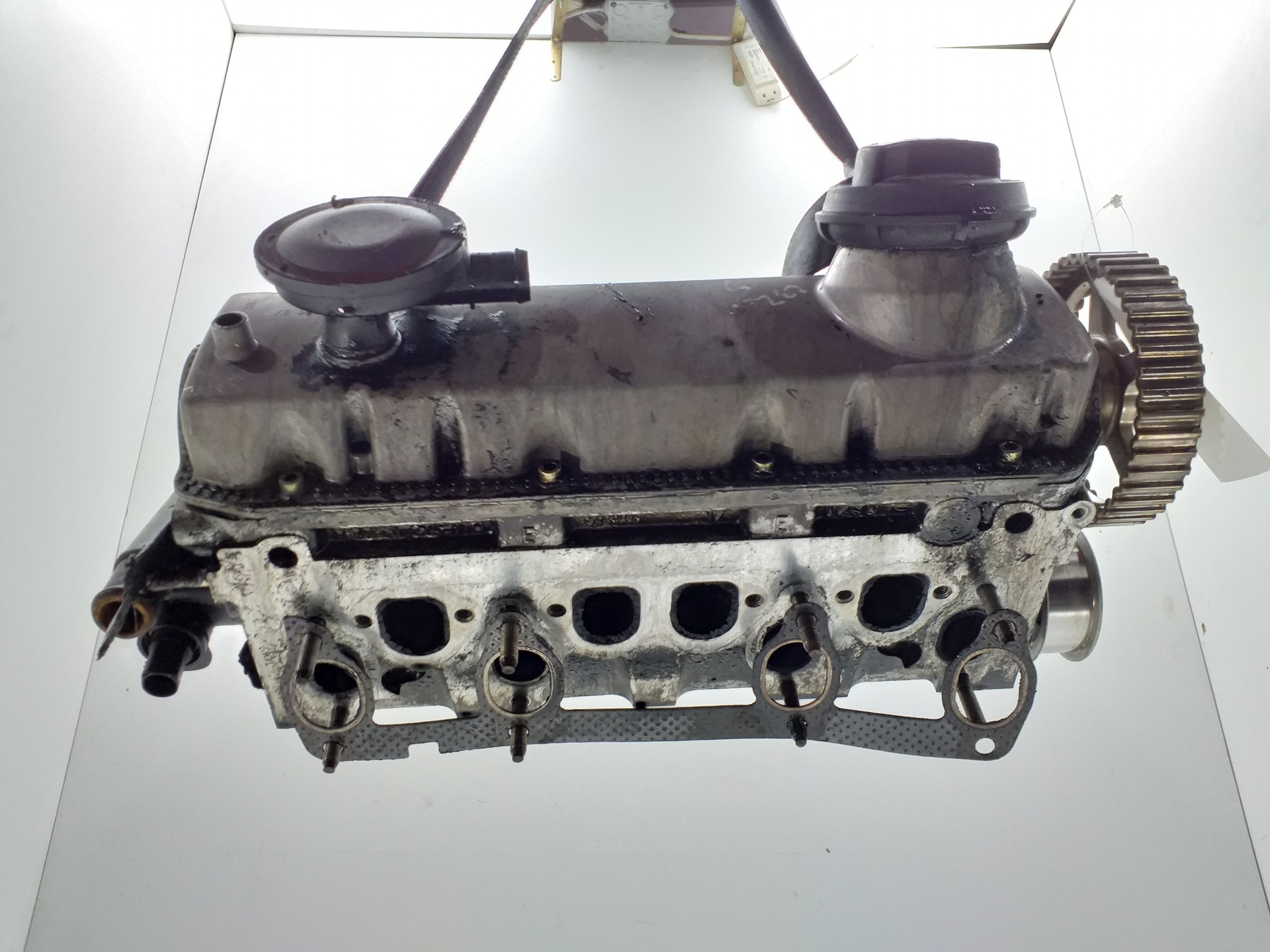SEAT Leon 1 generation (1999-2005) Engine Cylinder Head 038103373E 25391274