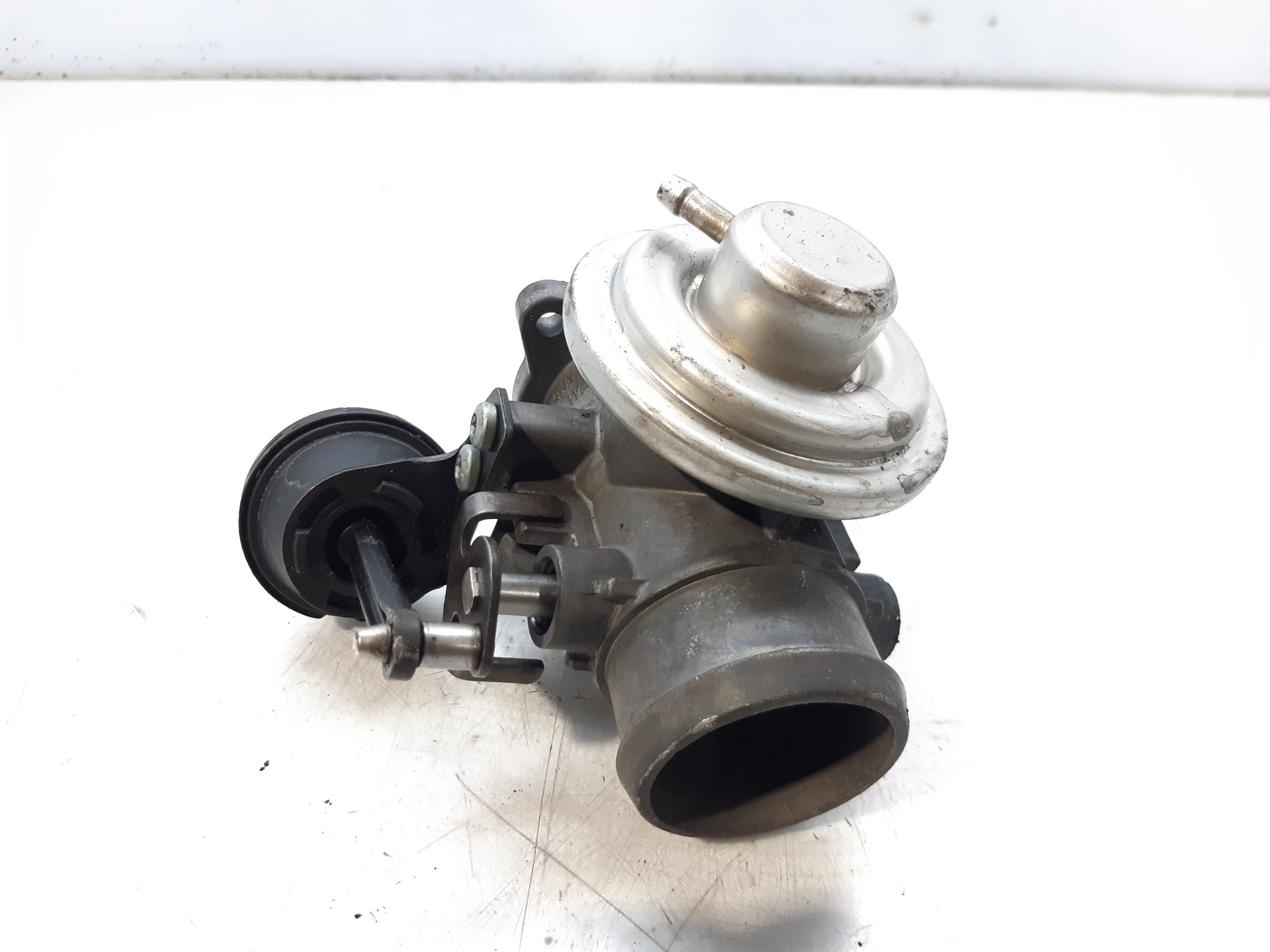 VOLKSWAGEN Bora 1 generation (1998-2005) EGR vārsts 038131501E 18722438