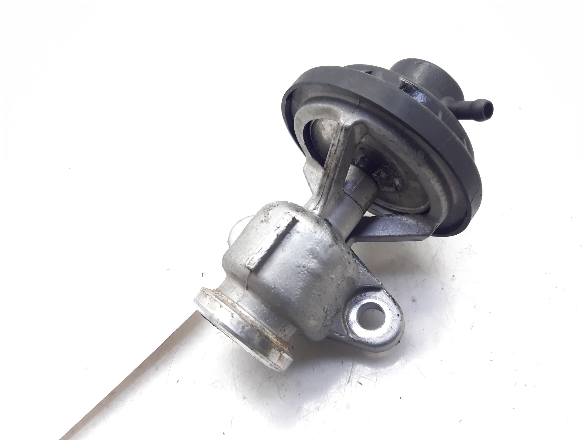 SEAT Cordoba 2 generation (1999-2009) EGR Valve 038131501AG 18765728