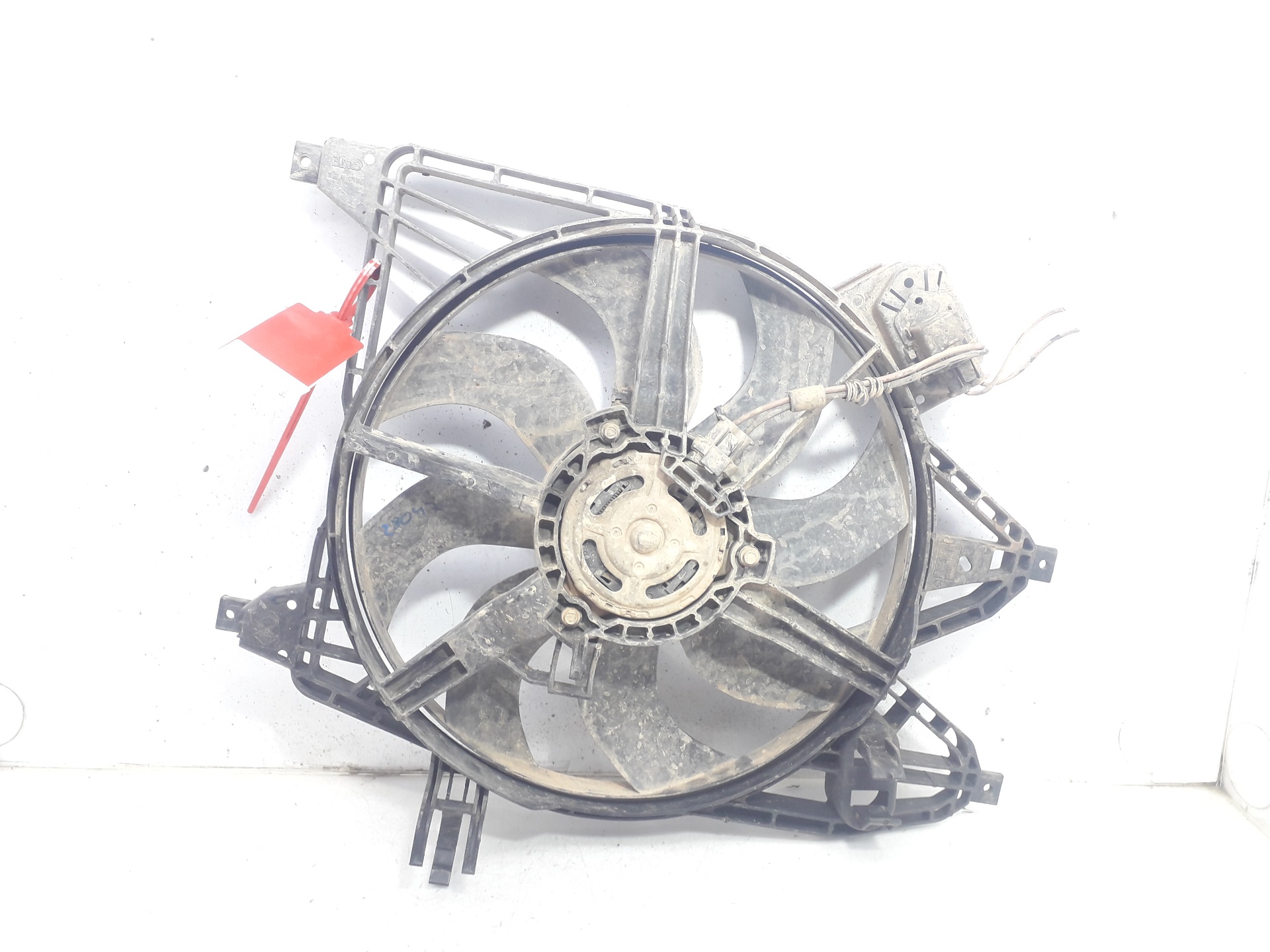 CHRYSLER Kangoo 1 generation (1998-2009) Difuzorový ventilátor 8200394646 22431329